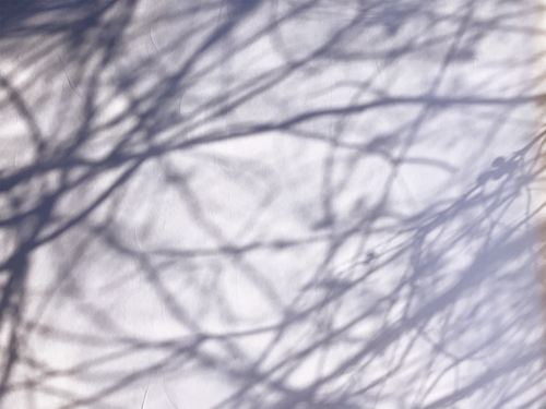 モノゴトの好みがはっきりしている私の好きな人たちと嫌いな人たち ロン毛と坊主とニューヨーク