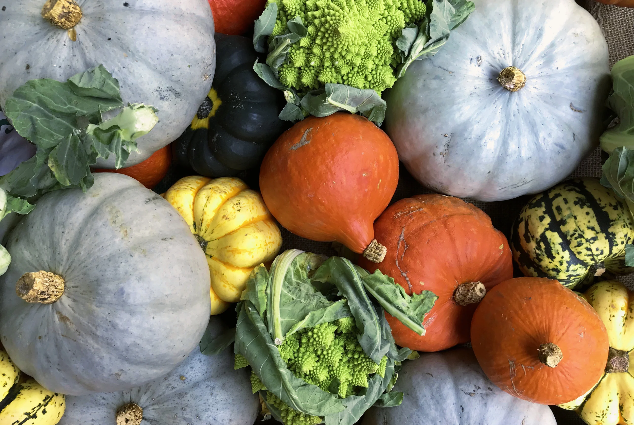 What's in Season? Fall Produce Guide