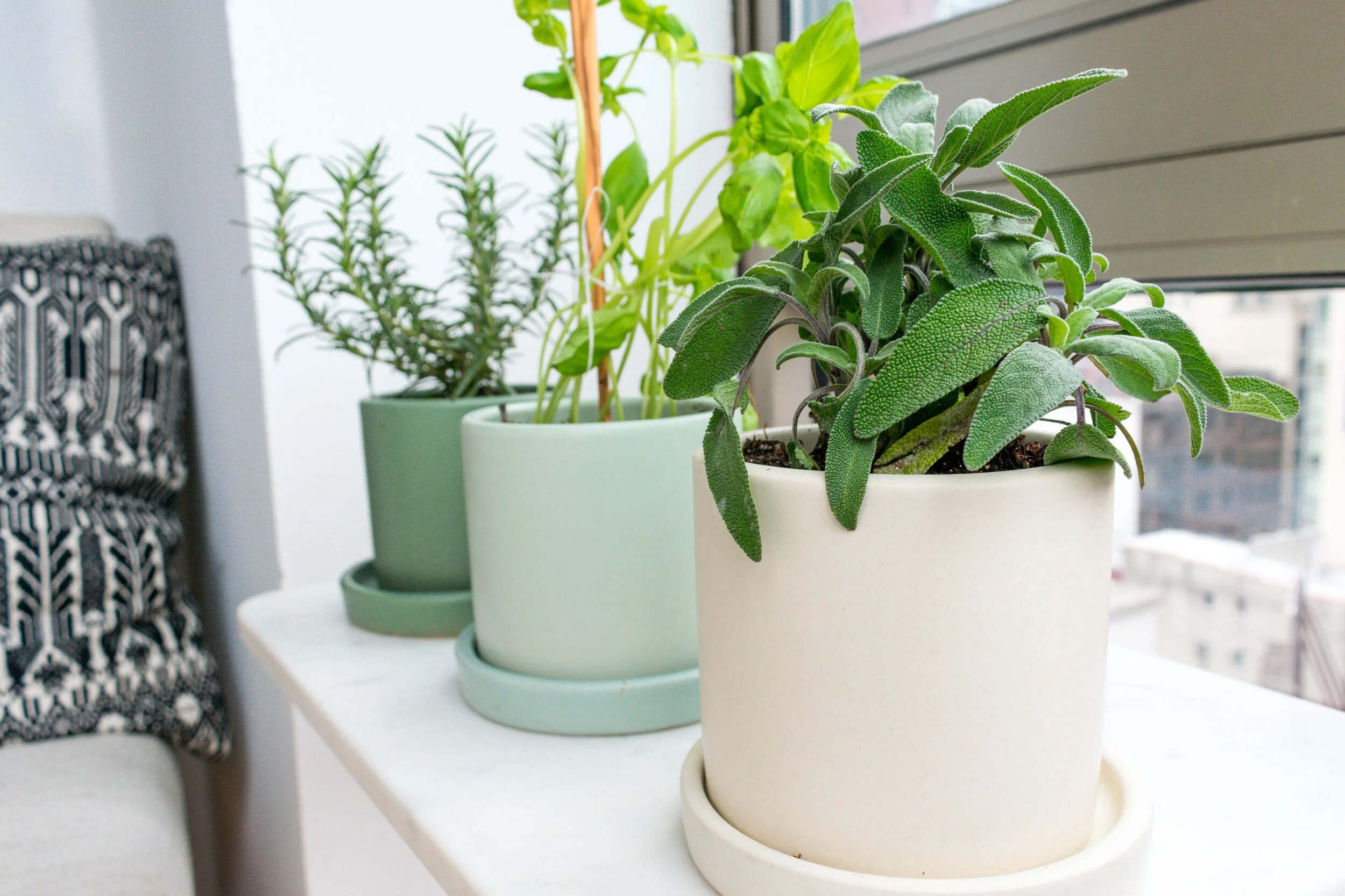 The basil I bought needed some TLC so I rigged up a chopstick and some floss to help it get back on track.