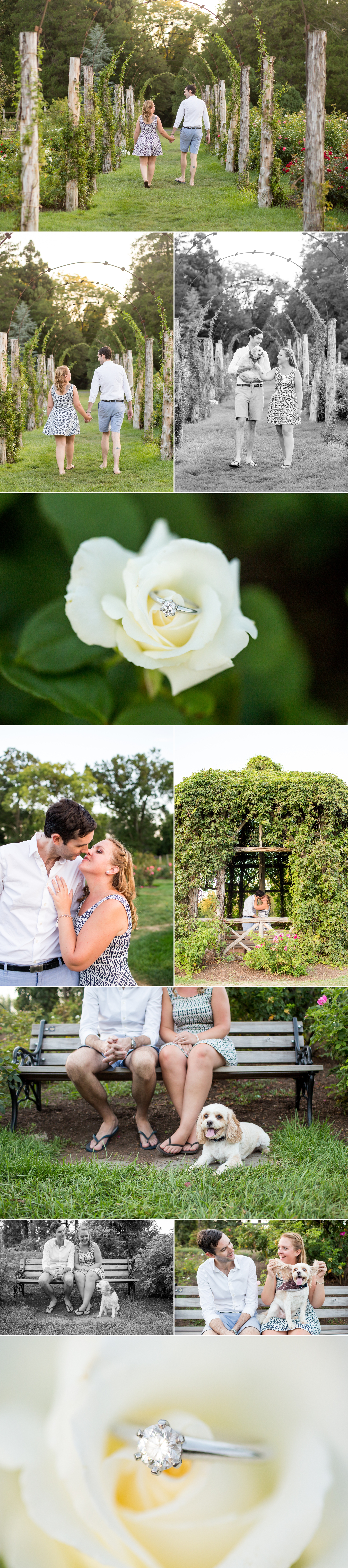 West Hartford, CT Engagement Session at Elizabeth Park | Shaina Lee Photography | CT NYC + Destination Wedding + Engagement Photographer