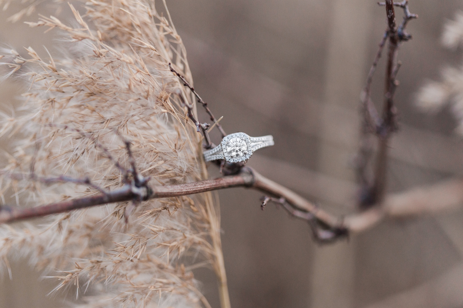 ct-ny-destination-luxury-wedding-engagement-boudoir-photographer-shaina-lee-photography-milford-beach-session
