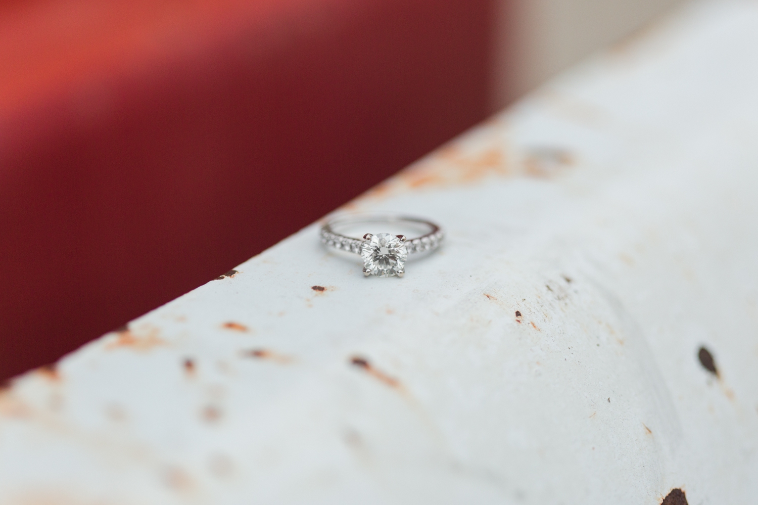 clinton-connecticut-engagement-session-chamard-vineyards-ct-nyc-wedding-photographer-shaina-lee-photography