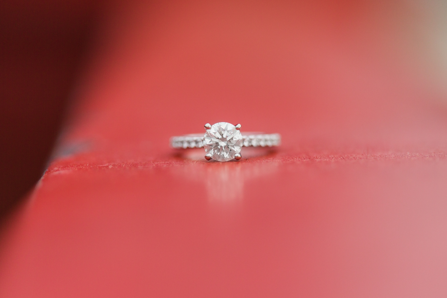 clinton-connecticut-engagement-session-chamard-vineyards-ct-nyc-wedding-photographer-shaina-lee-photography