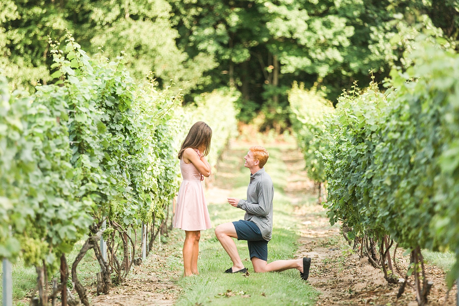 chamard-vineyards-wedding-proposal-clinton-connecticut-top-ct-nyc-destination-engagement-photographer-shaina-lee-photography-photo