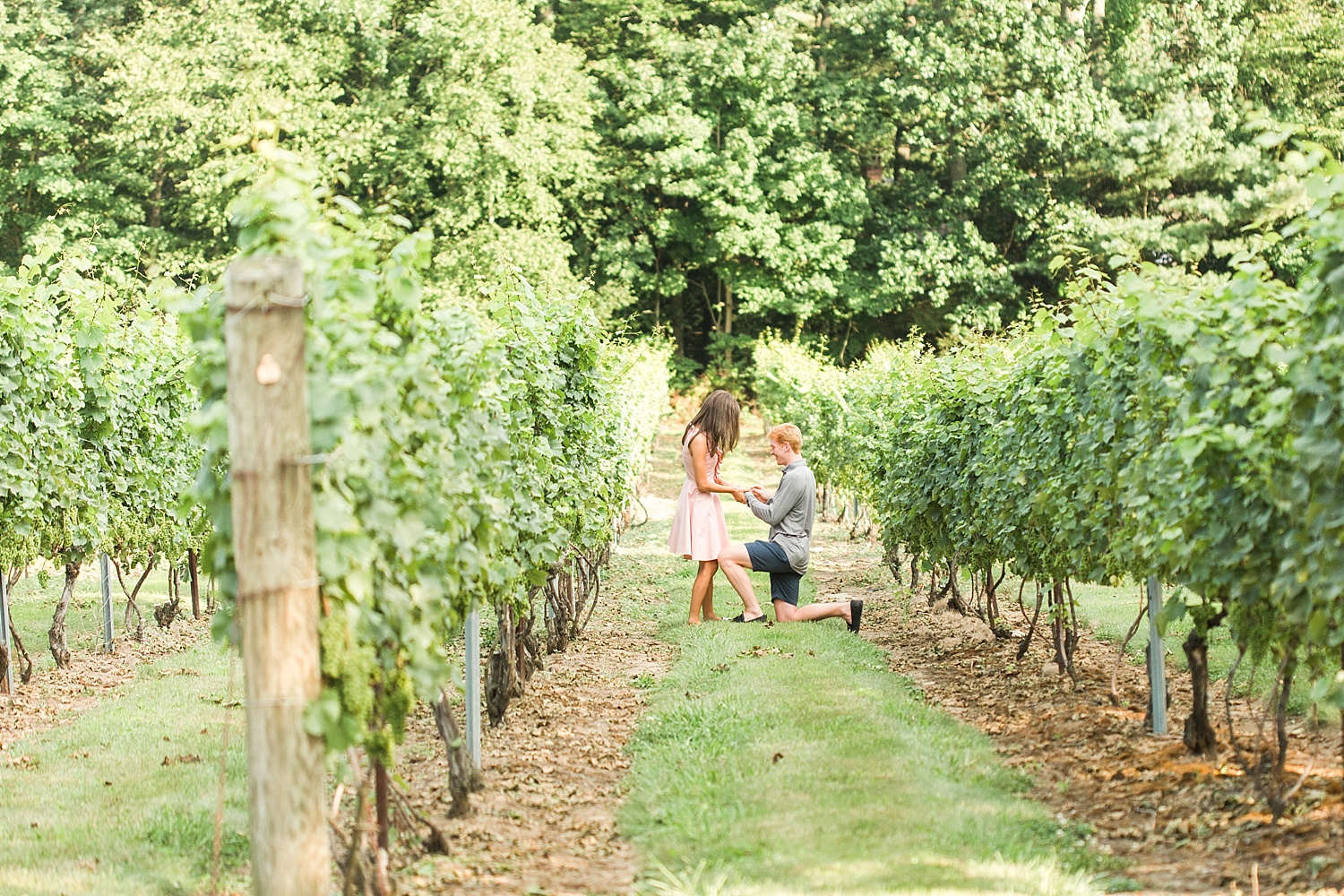 chamard-vineyards-wedding-proposal-clinton-connecticut-top-ct-nyc-destination-engagement-photographer-shaina-lee-photography-photo