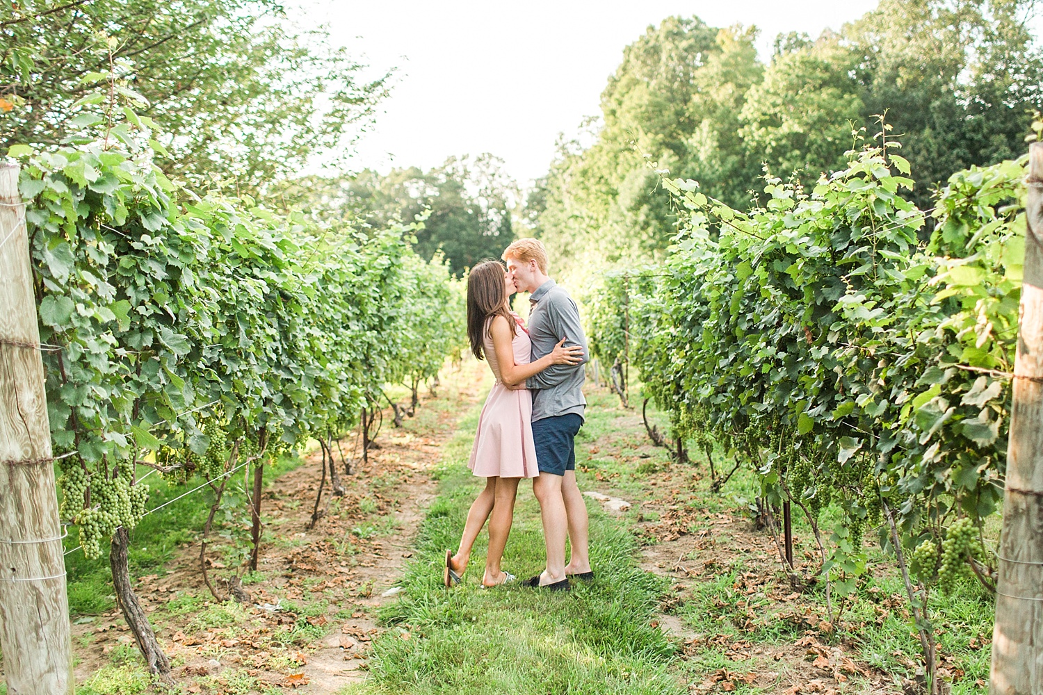 chamard-vineyards-wedding-proposal-clinton-connecticut-top-ct-nyc-destination-engagement-photographer-shaina-lee-photography-photo