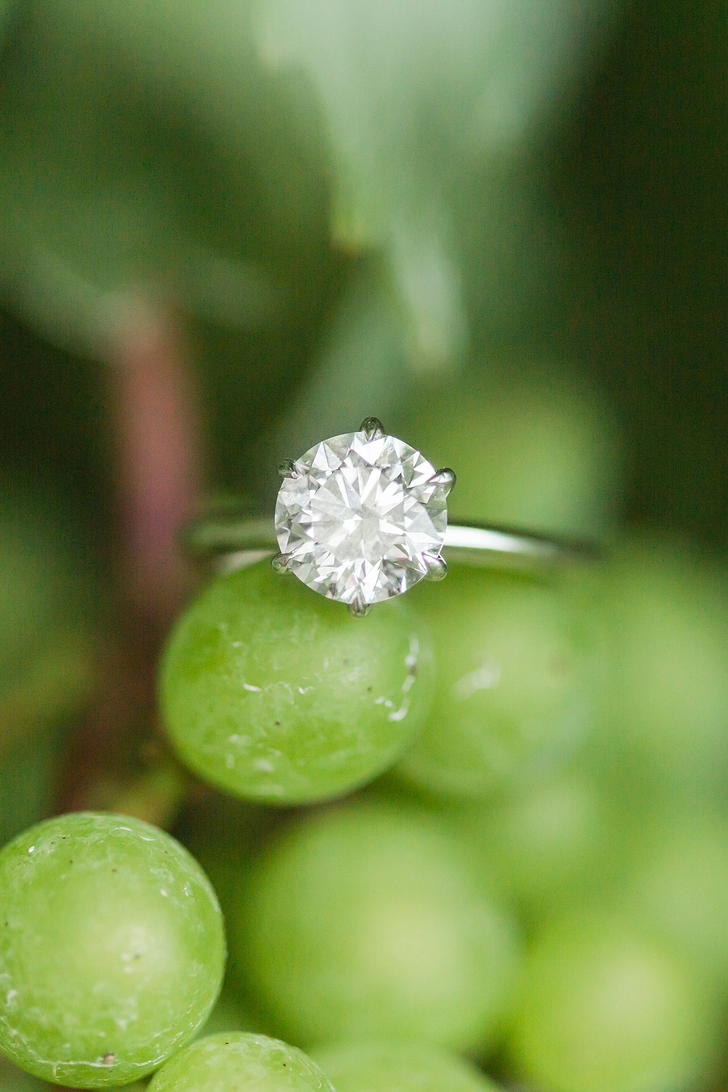 chamard-vineyards-wedding-proposal-clinton-connecticut-top-ct-nyc-destination-engagement-photographer-shaina-lee-photography-photo