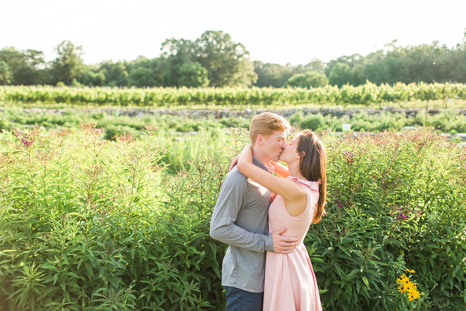 chamard-vineyards-wedding-proposal-clinton-connecticut-top-ct-nyc-destination-engagement-photographer-shaina-lee-photography-photo