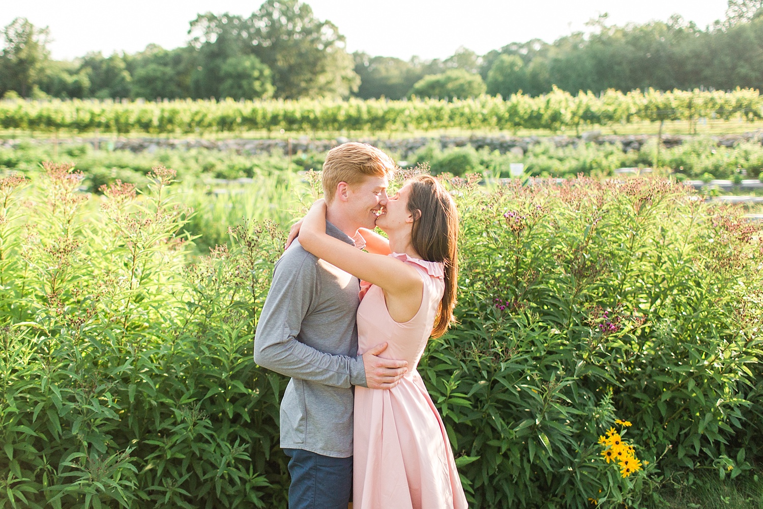 chamard-vineyards-wedding-proposal-clinton-connecticut-top-ct-nyc-destination-engagement-photographer-shaina-lee-photography-photo