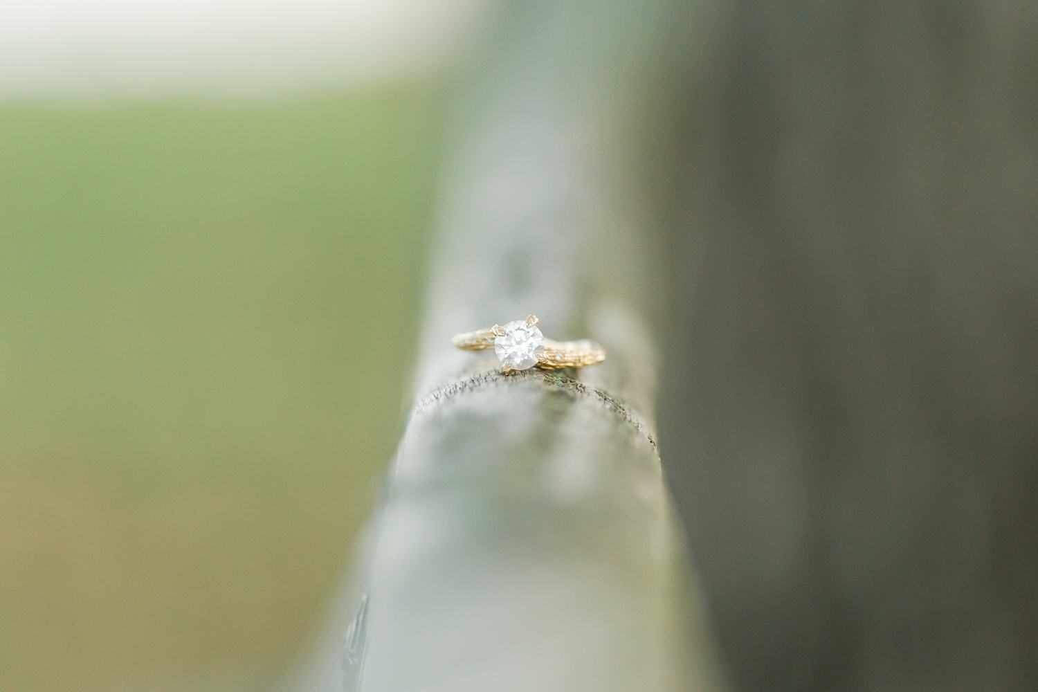 tods-point-engagement-session-greenwich-ct-top-connecticut-new-york-destination-wedding-photographer-shaina-lee-photography-photo