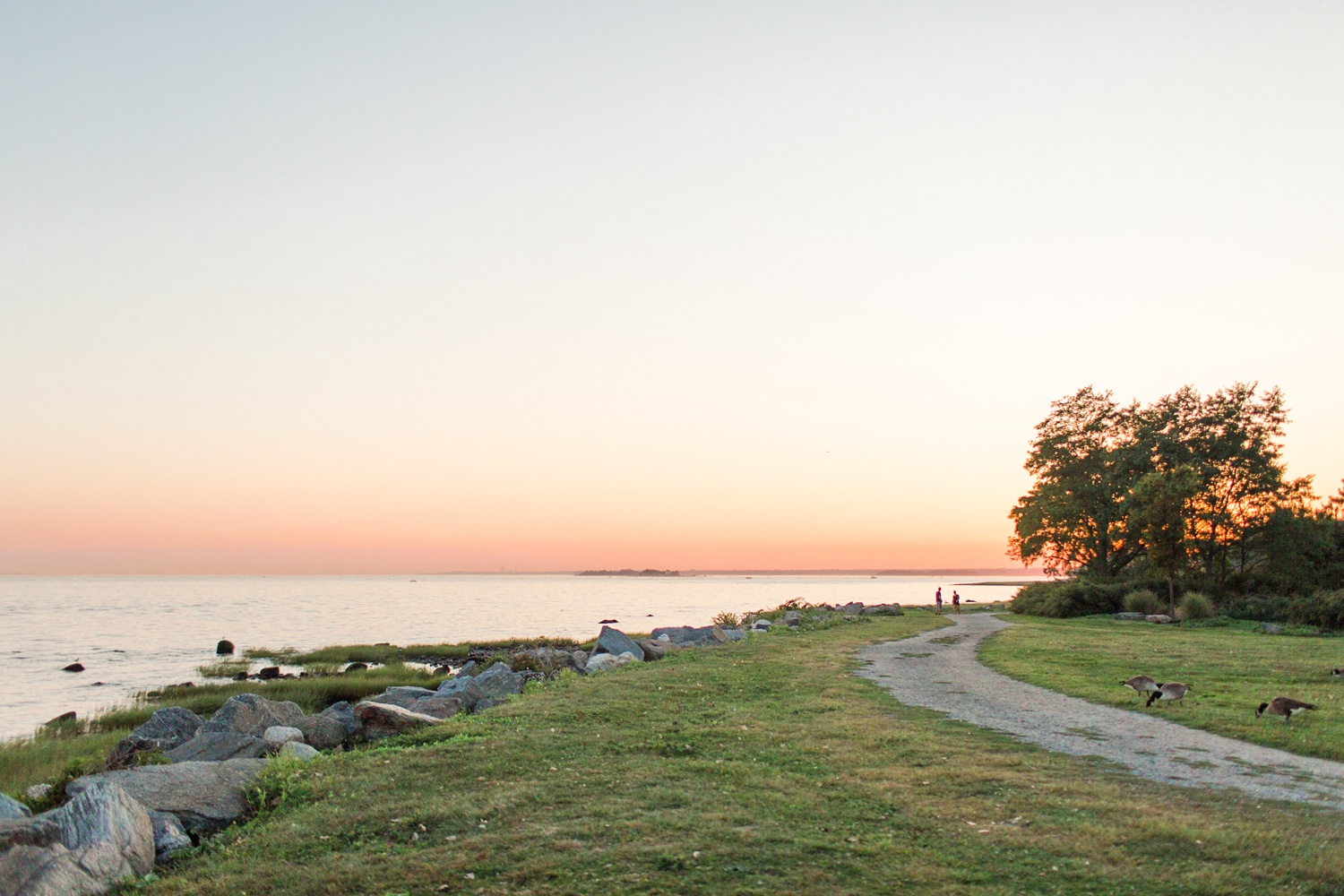 tods-point-engagement-session-greenwich-ct-top-connecticut-new-york-destination-wedding-photographer-shaina-lee-photography-photo