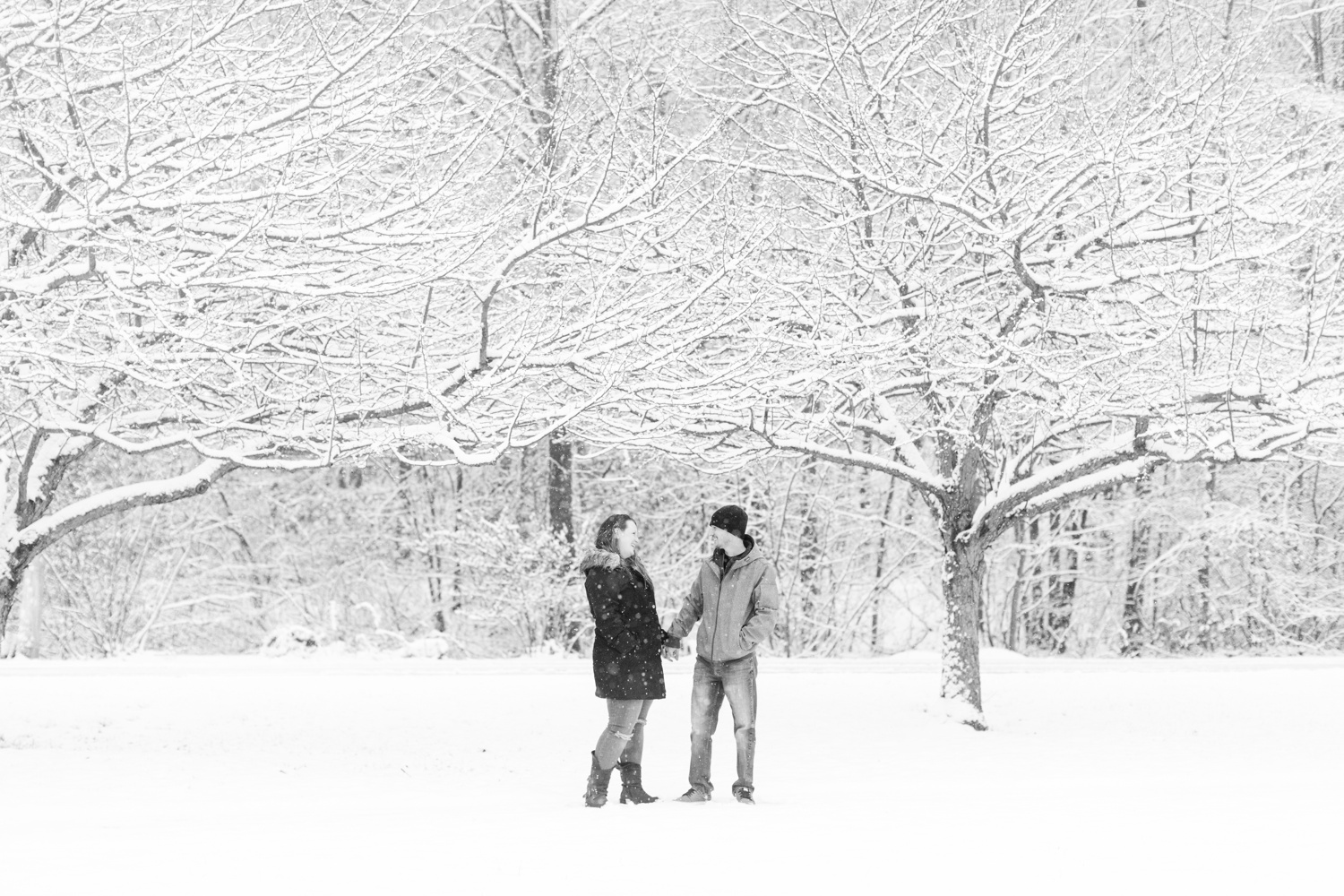 twin-brooks-park-engagement-session-trumbull-ct-top-connecticut-westchester-nyc-destination-wedding-photographer-shaina-lee-photography-photo