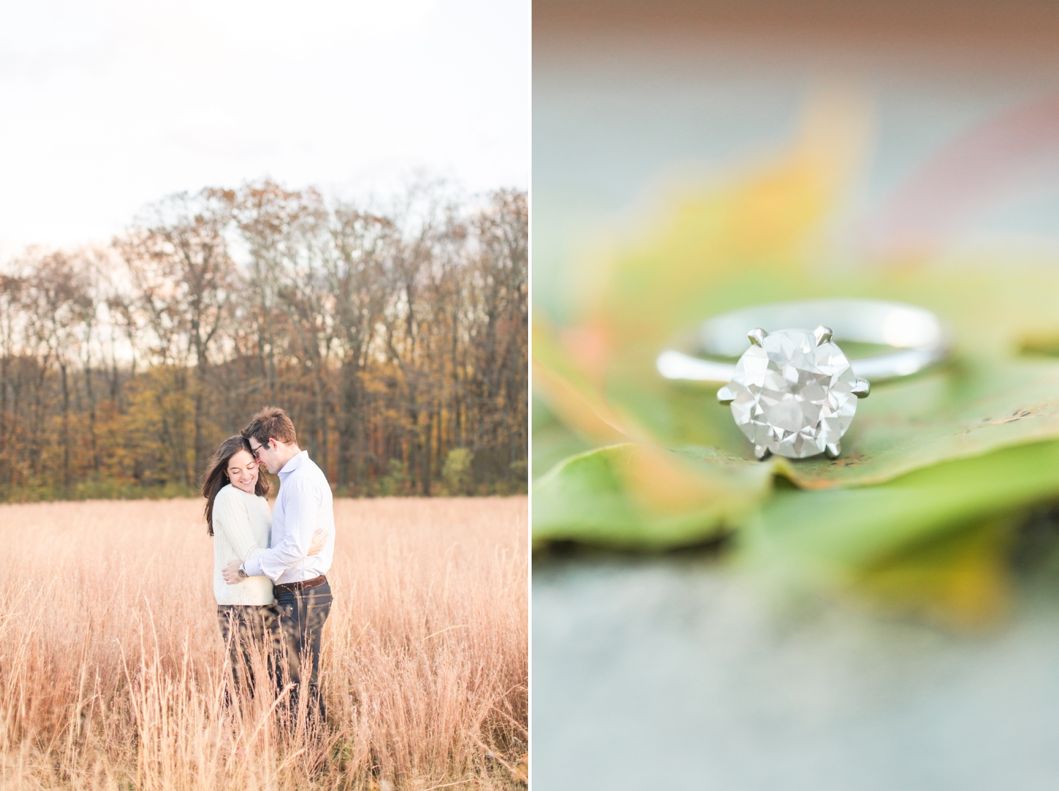 waveny-park-engagement-session-new-canaan-connecticut-wedding-photographer-ss-shaina-lee-photography-photo