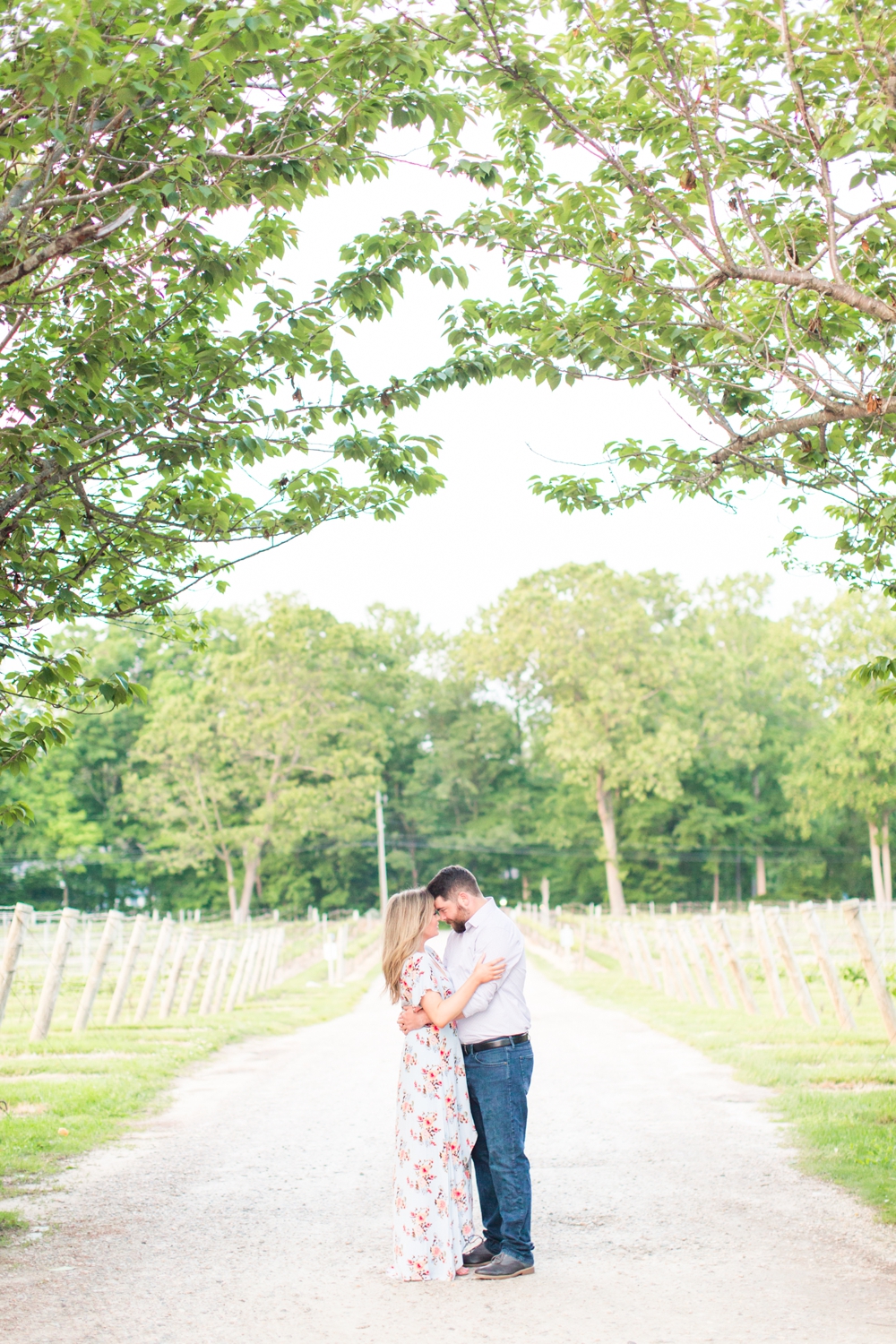 chamard-vineyards-engagement-session-clinton-connecticut-wedding-photographer-shaina-lee-photography-photo