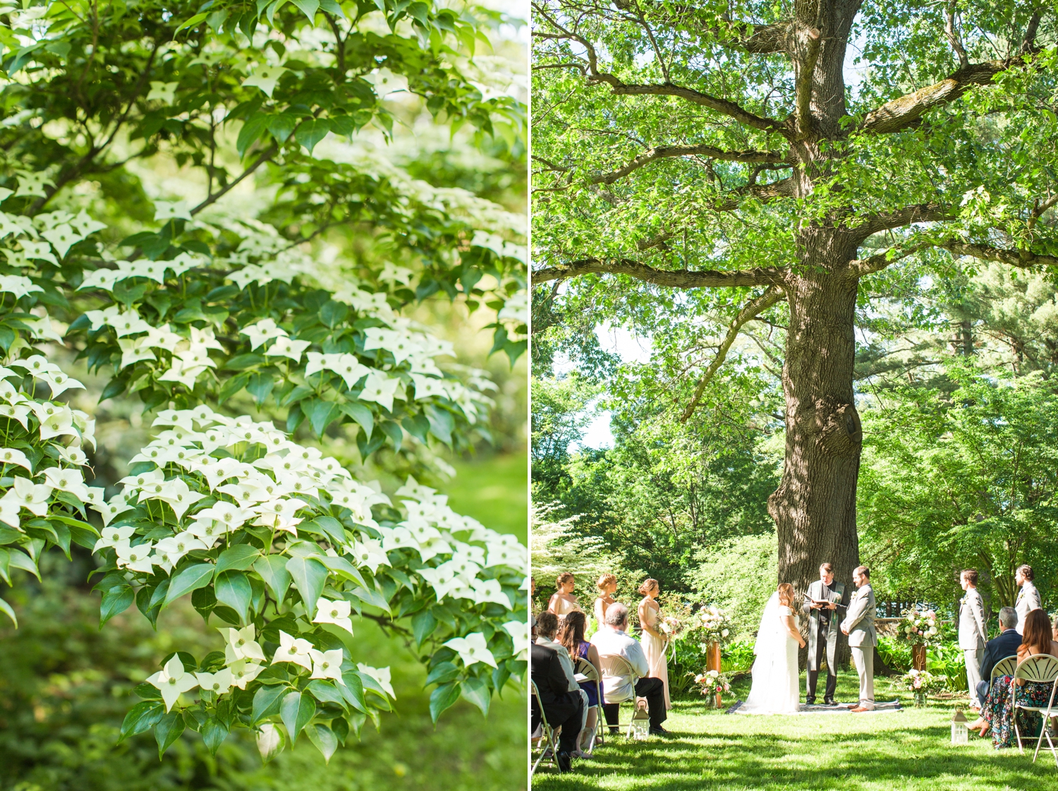 edgerton-park-wedding-new-haven-connecticut-photographer-shaina-lee-photography-photo