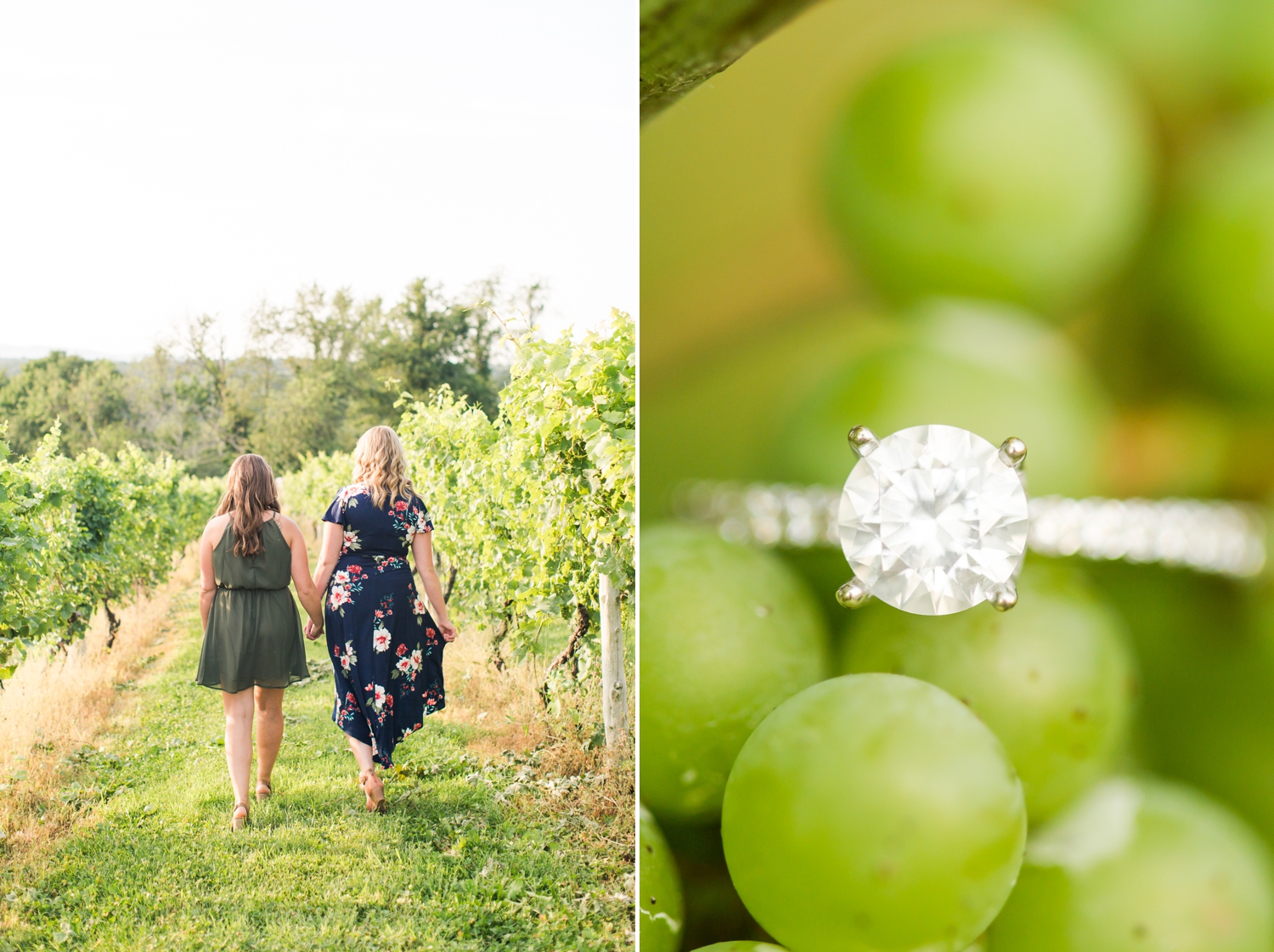 gouveia-vineyards-engagement-session-wallingford-connecticut-wedding-photographer-shaina-lee-photography-photo