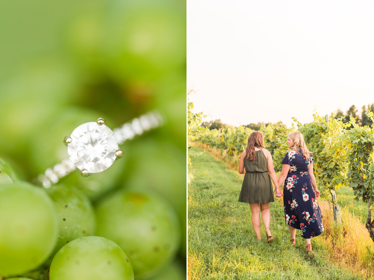 gouveia-vineyards-engagement-session-wallingford-connecticut-wedding-photographer-shaina-lee-photography-photo