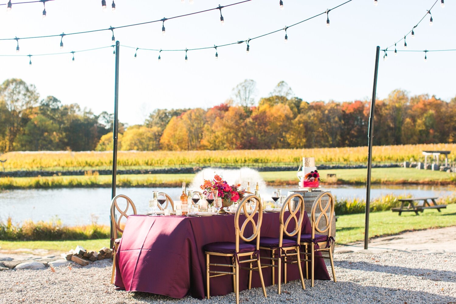 chamard-vineyards-fall-wedding-clinton-connecticut-shaina-lee-photography-photo