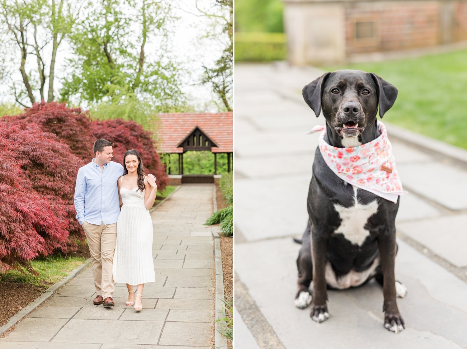 spring-engagement-session-waveny-park-new-canaan-connecticut-wedding-photographer-shaina-lee-photography