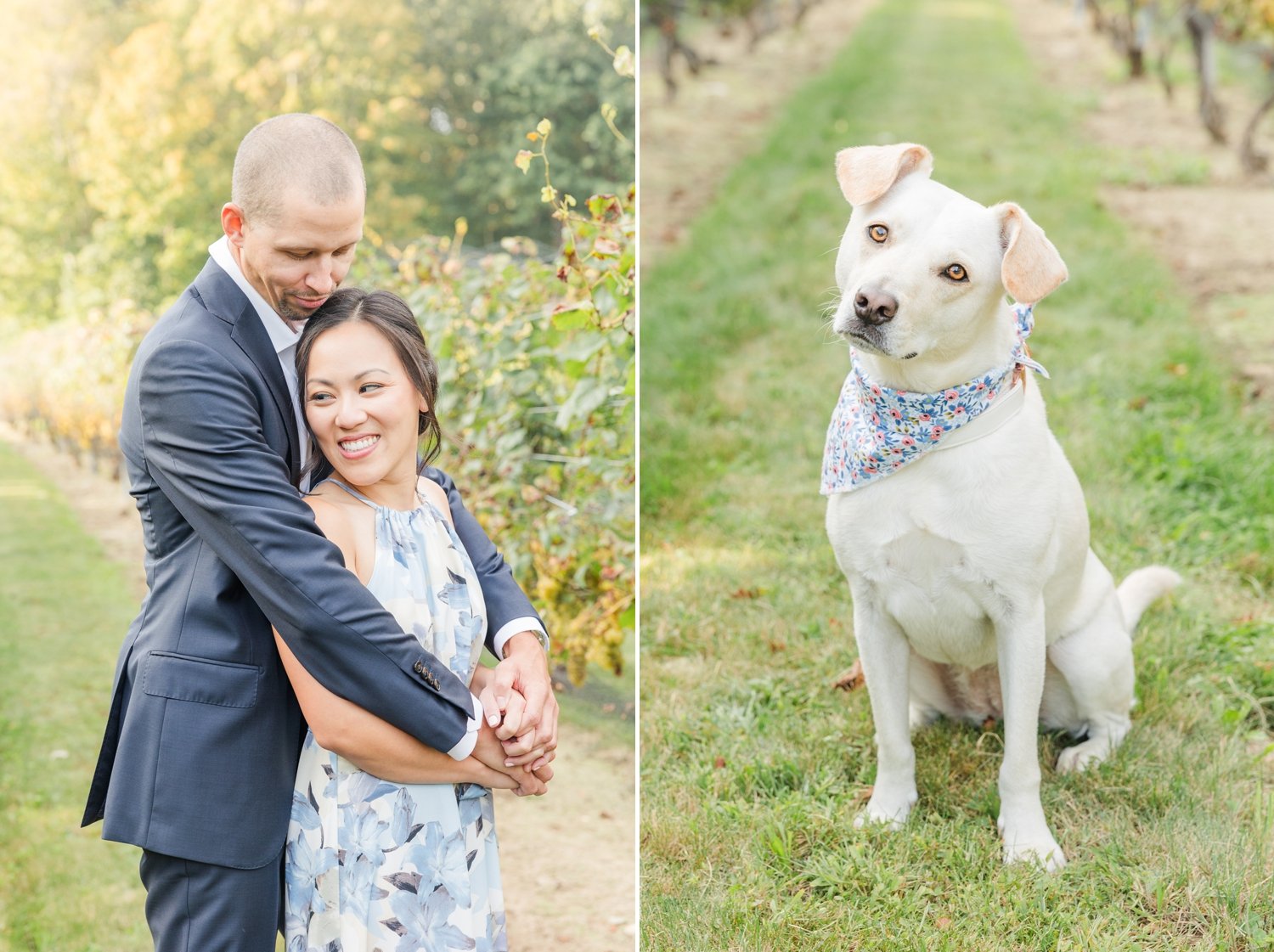 chamard-vineyards-fall-engagement-session-clinton-connecticut-wedding-photographer-shaina-lee-photography