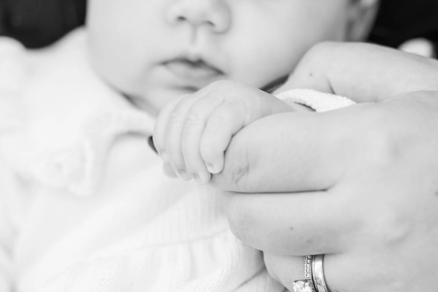 smith-farm-gardens-family-photography-session-connecticut-family-photographer-shaina-lee-photography