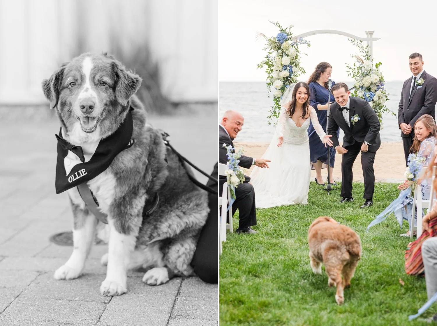madison-beach-hotel-wedding-connecticut-photographer-shaina-lee-photography