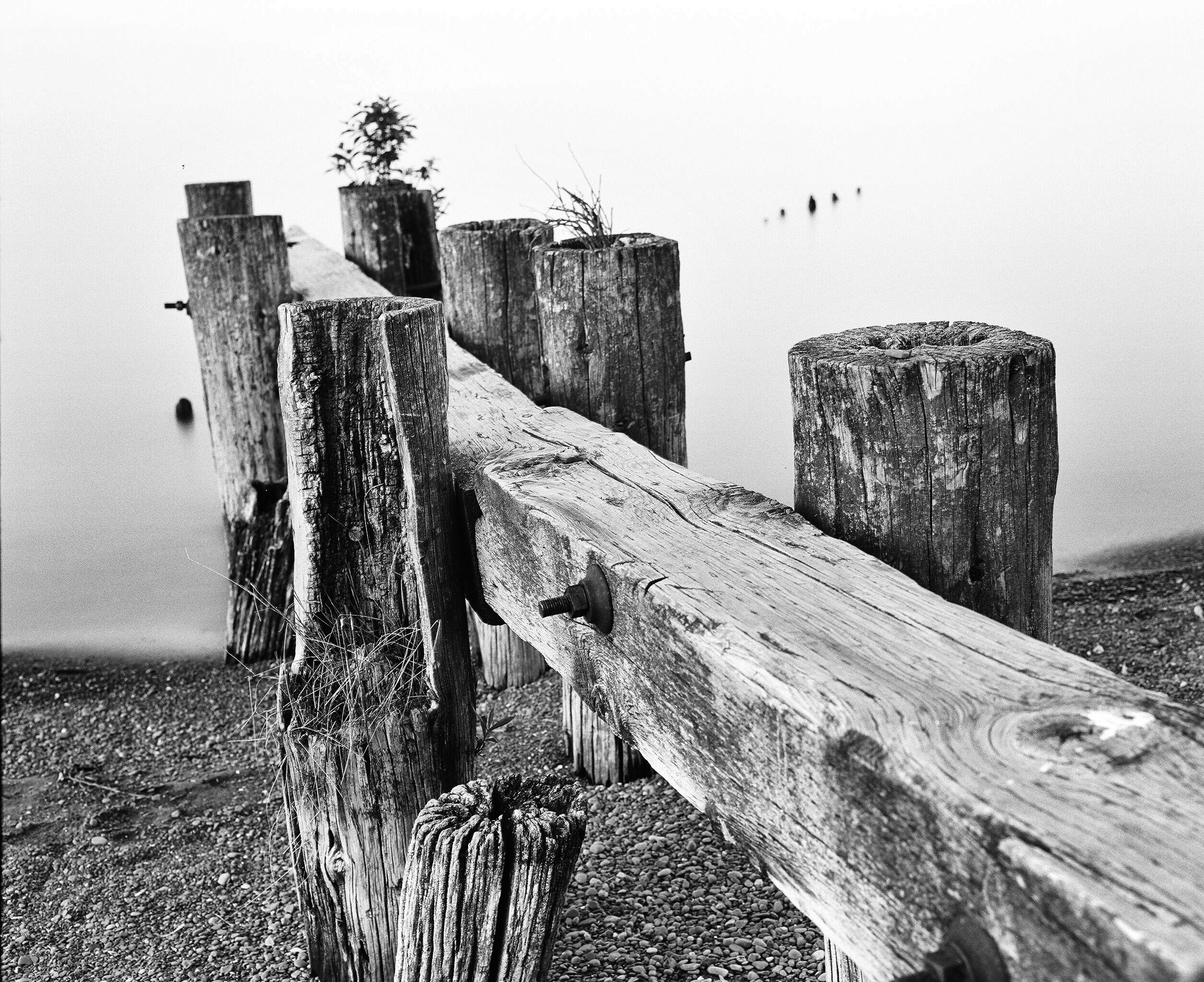 Fifty Point Groynes Medium Format
