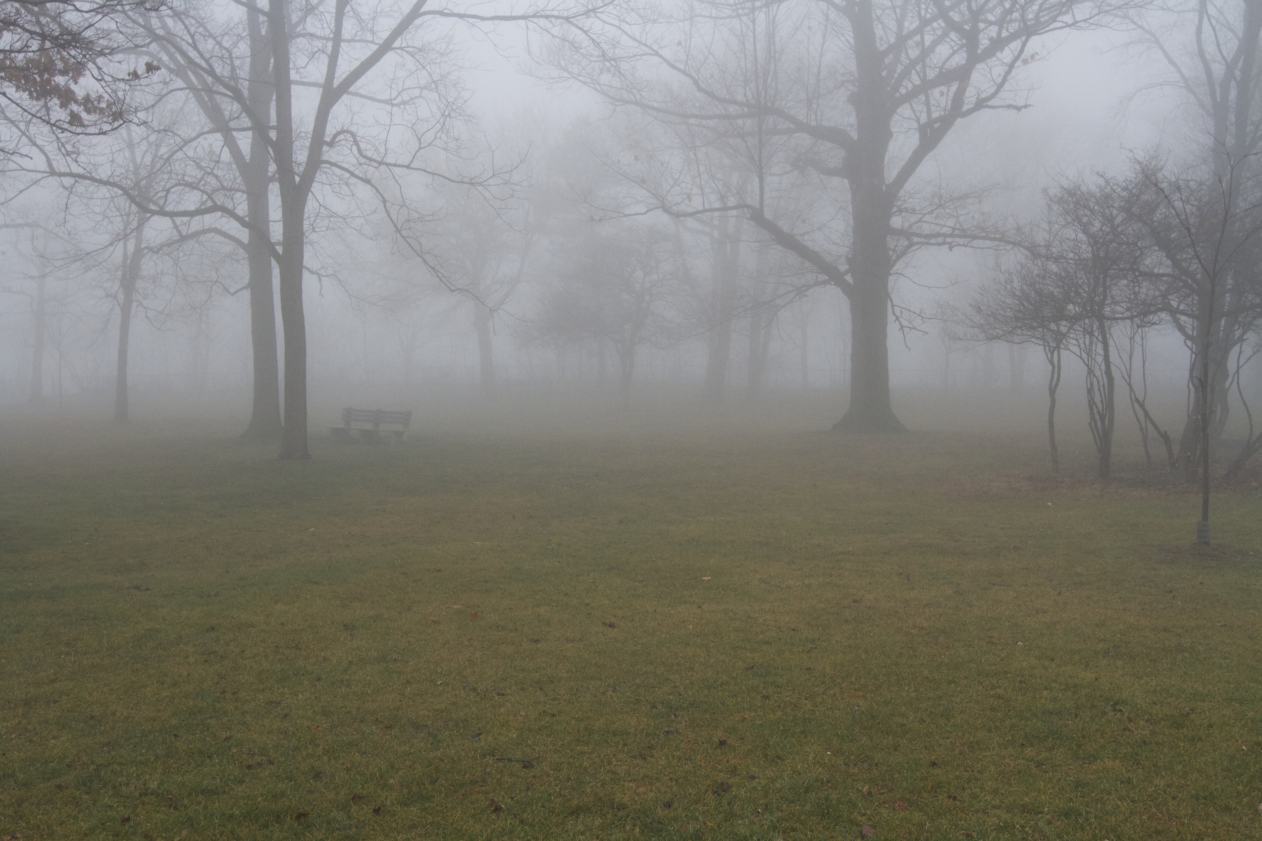 Misty morning