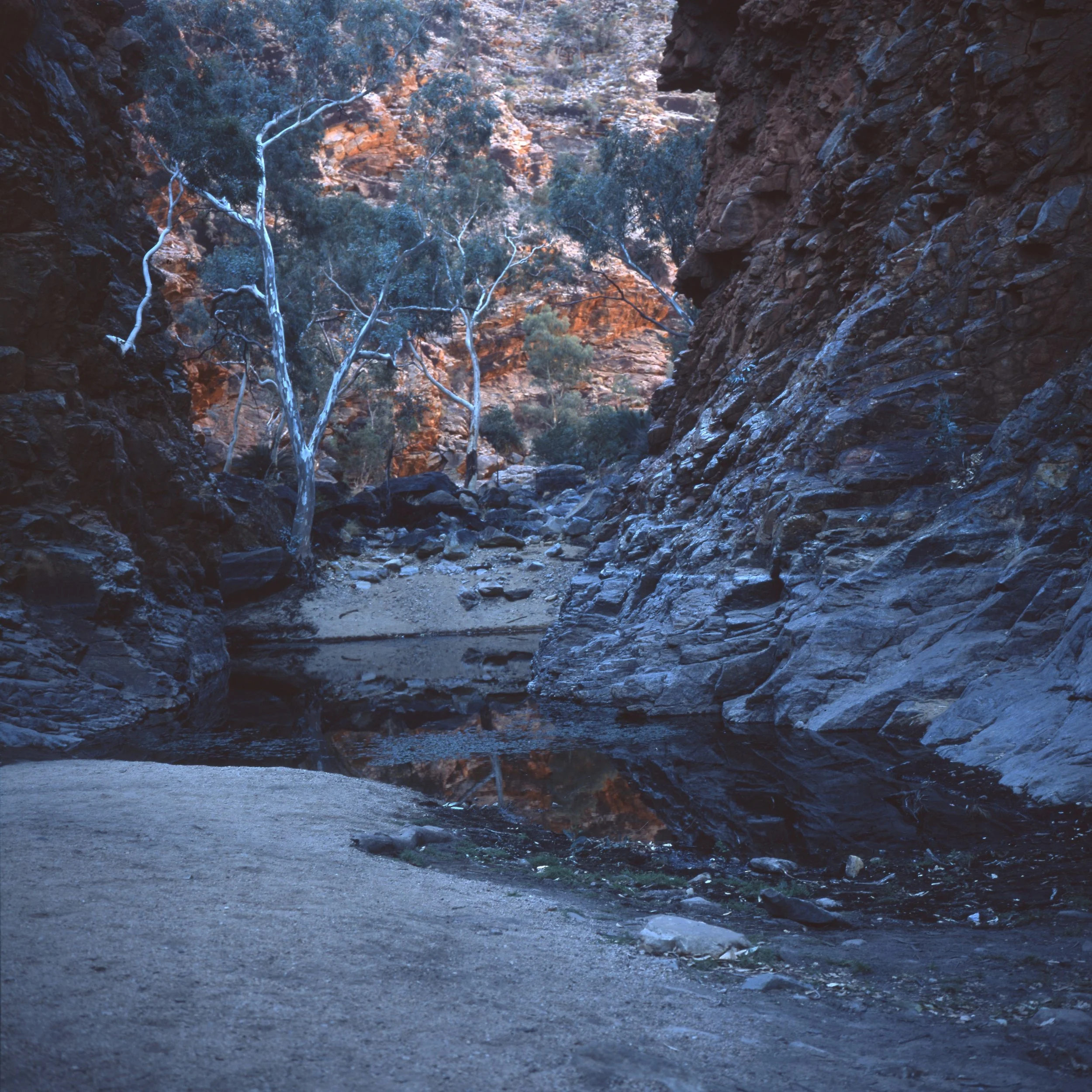 img008.jpg