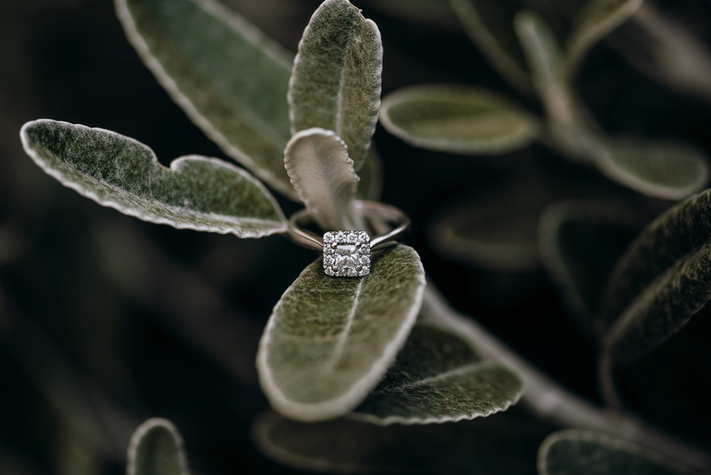 c&t taranaki wedding-7.jpeg