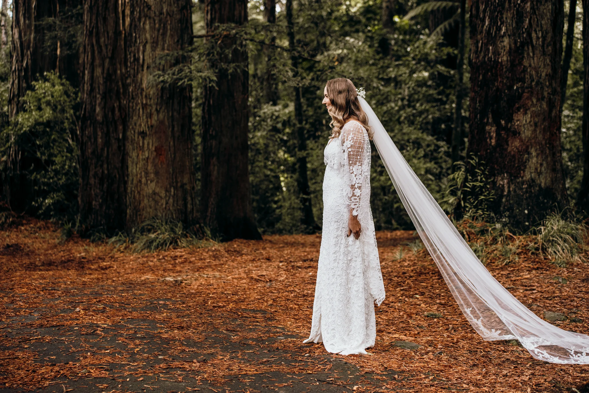 New Plymouth wedding-48.jpg
