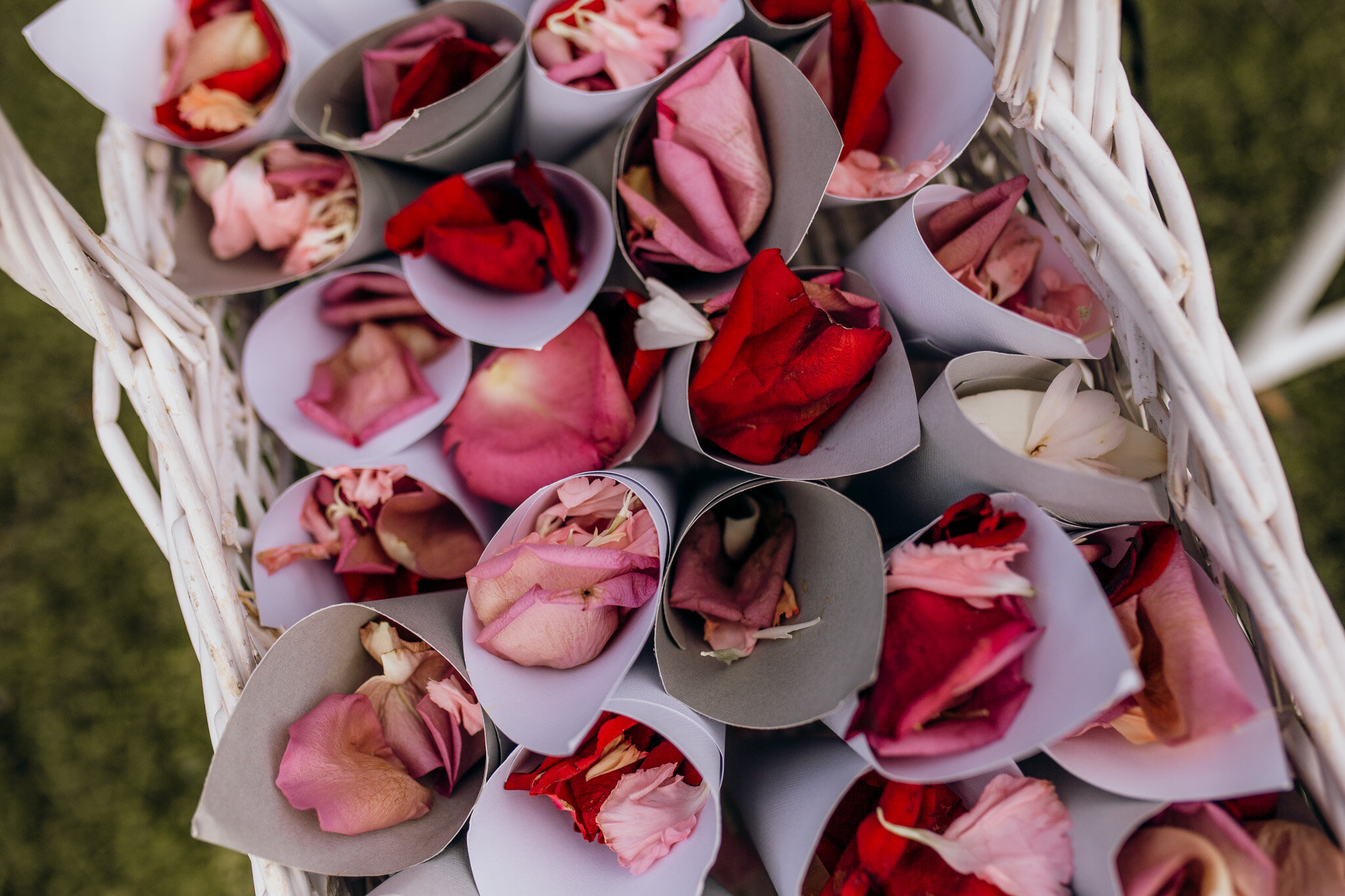 N&B New Plymouth Wedding-54.jpg