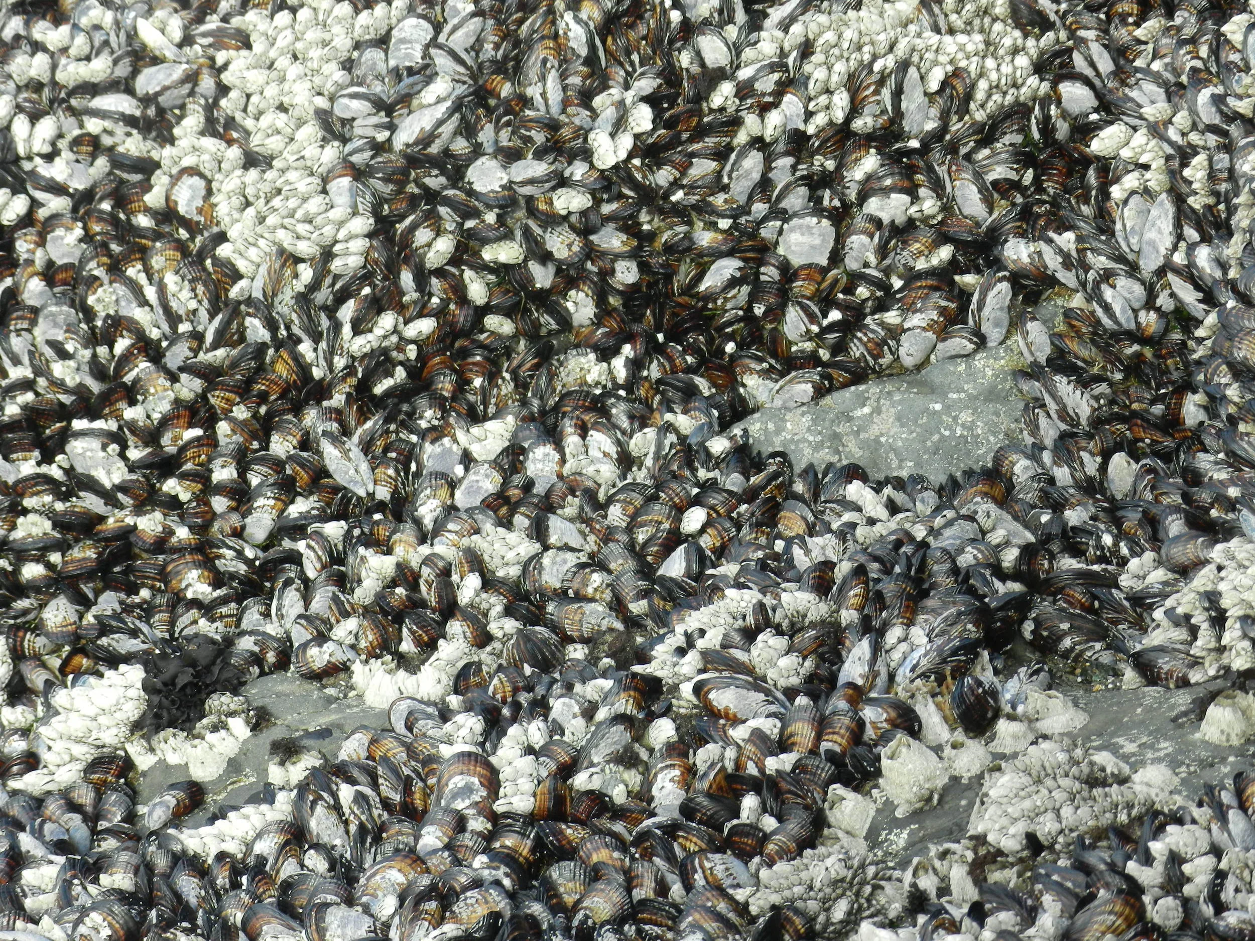 DSCN3436.JPG
