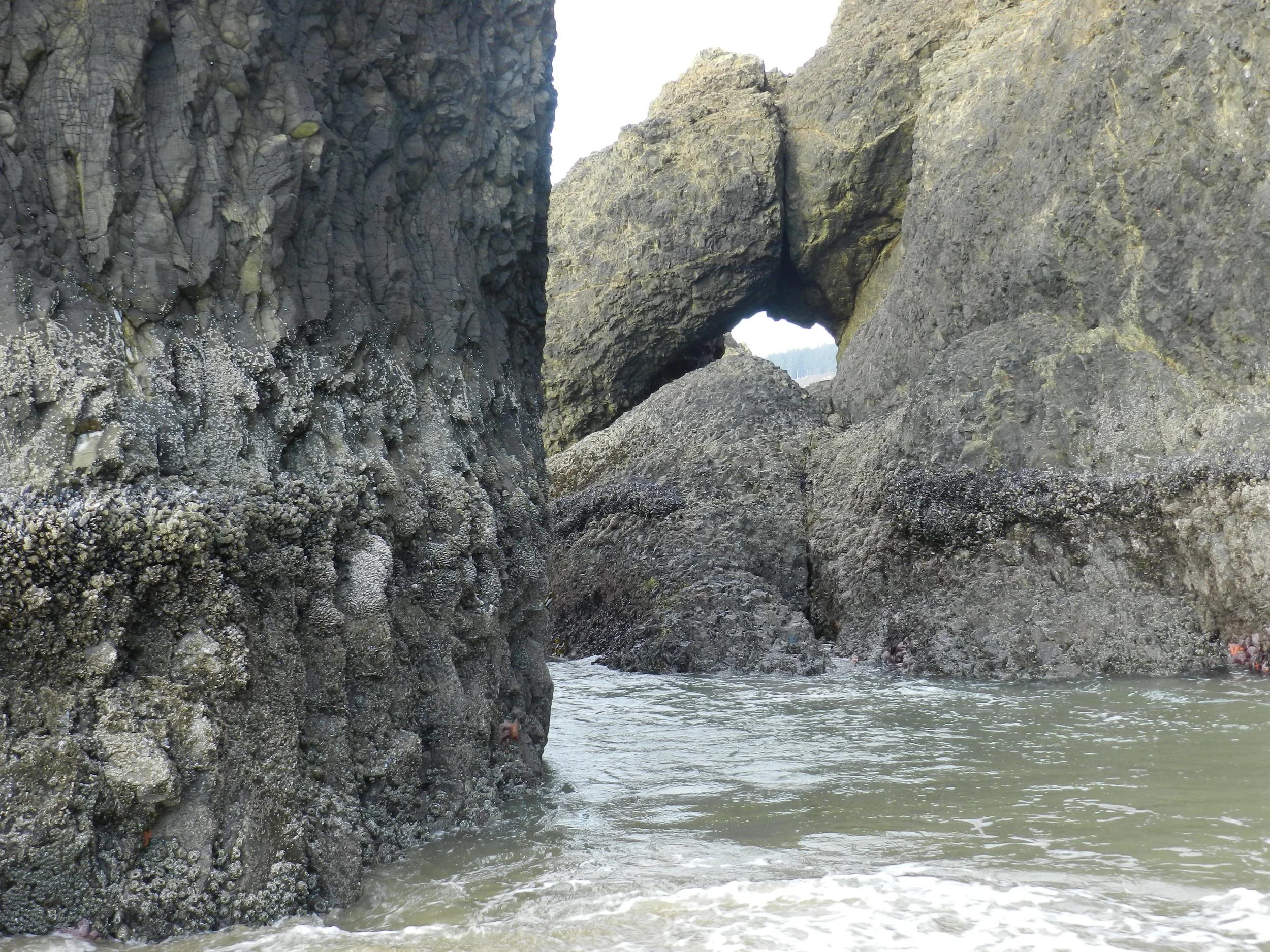 DSCN3465.JPG