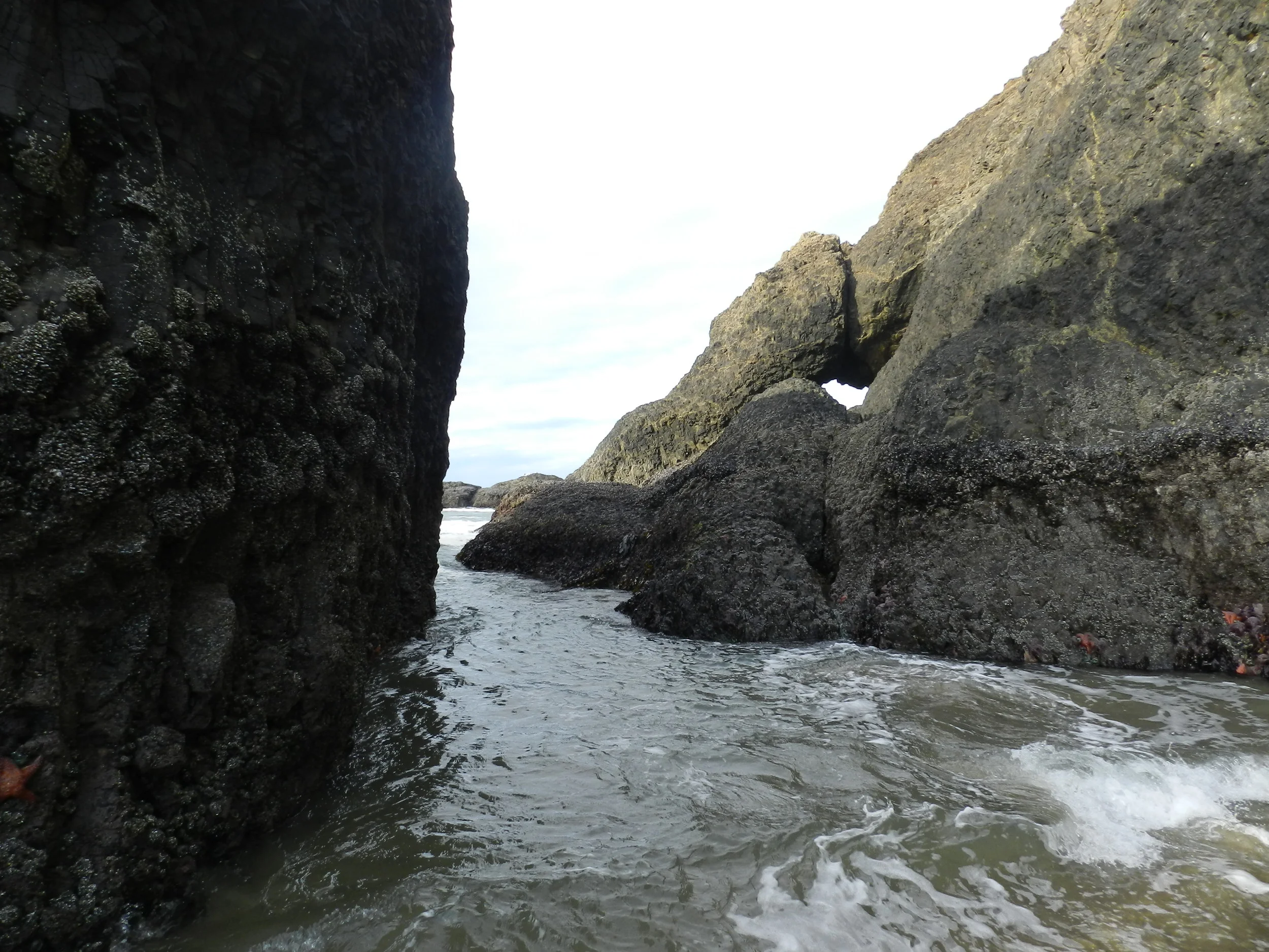 DSCN3472.JPG