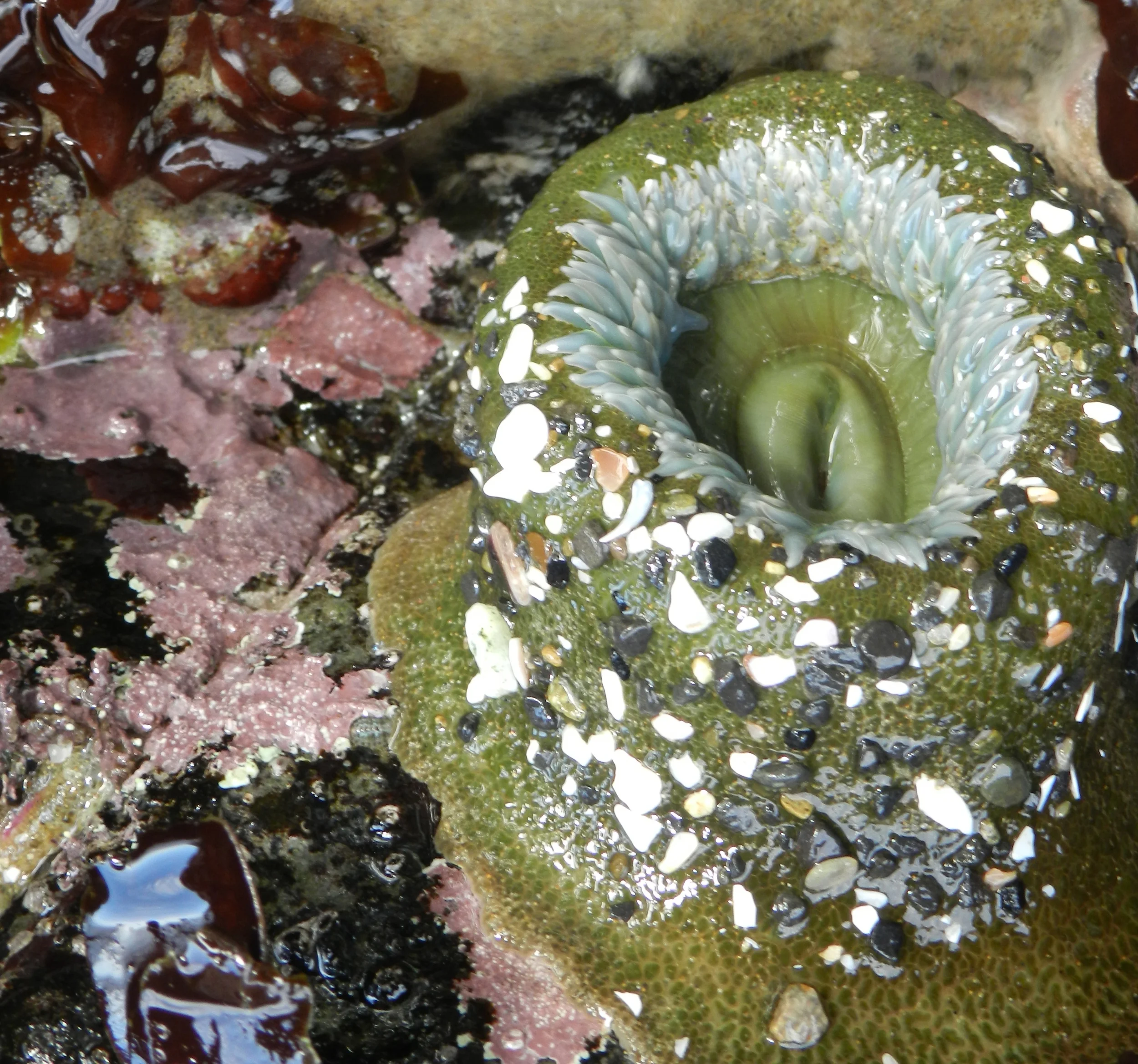 DSCN3478.JPG