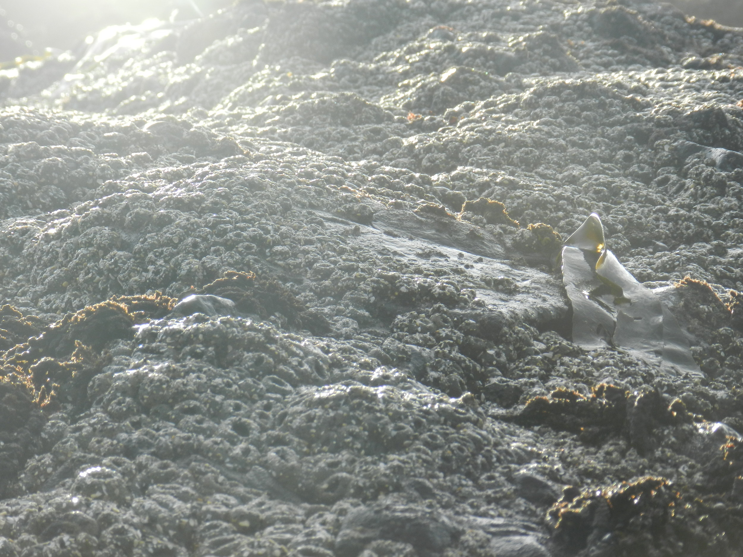 DSCN3525.JPG