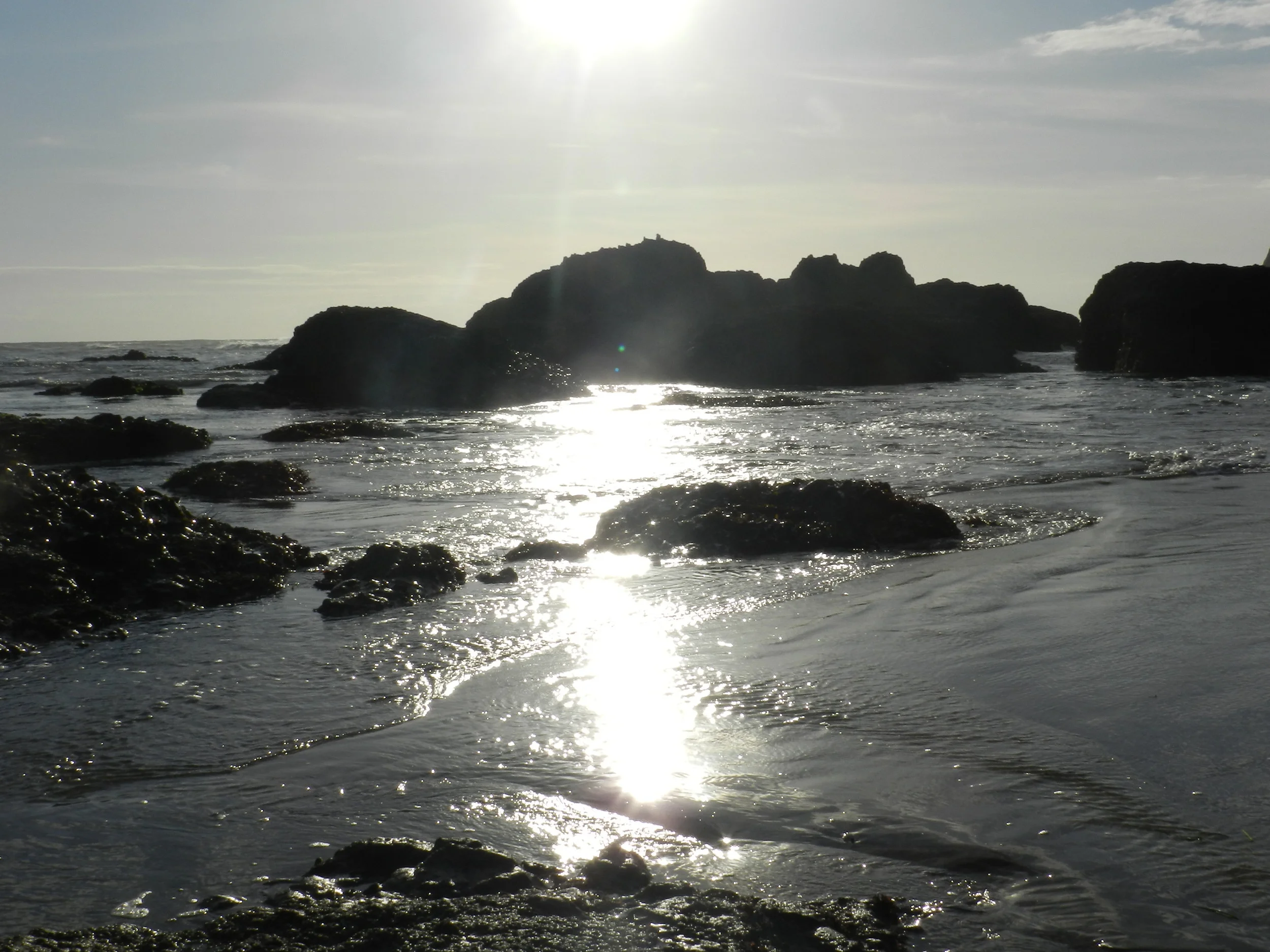 DSCN3531.JPG