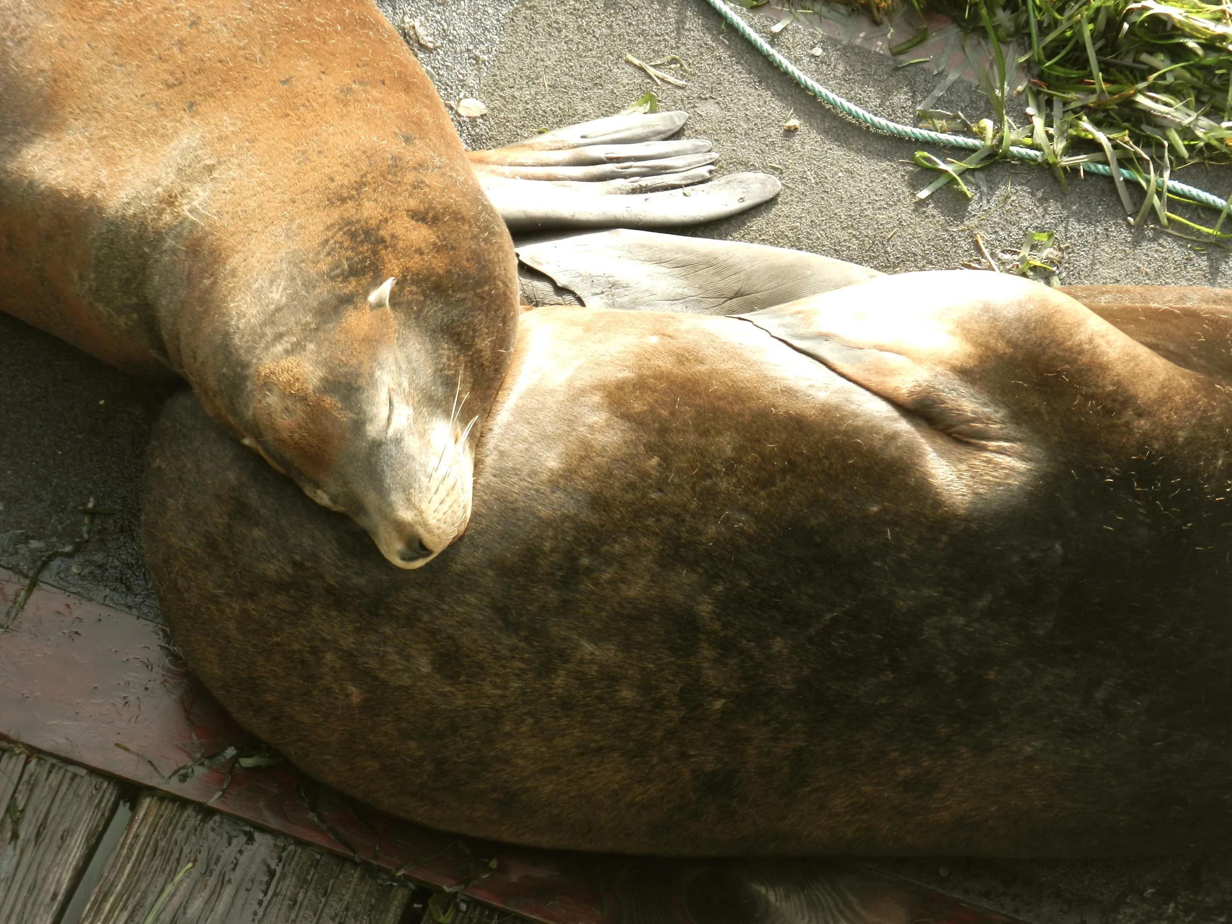 DSCN3268 3.JPG