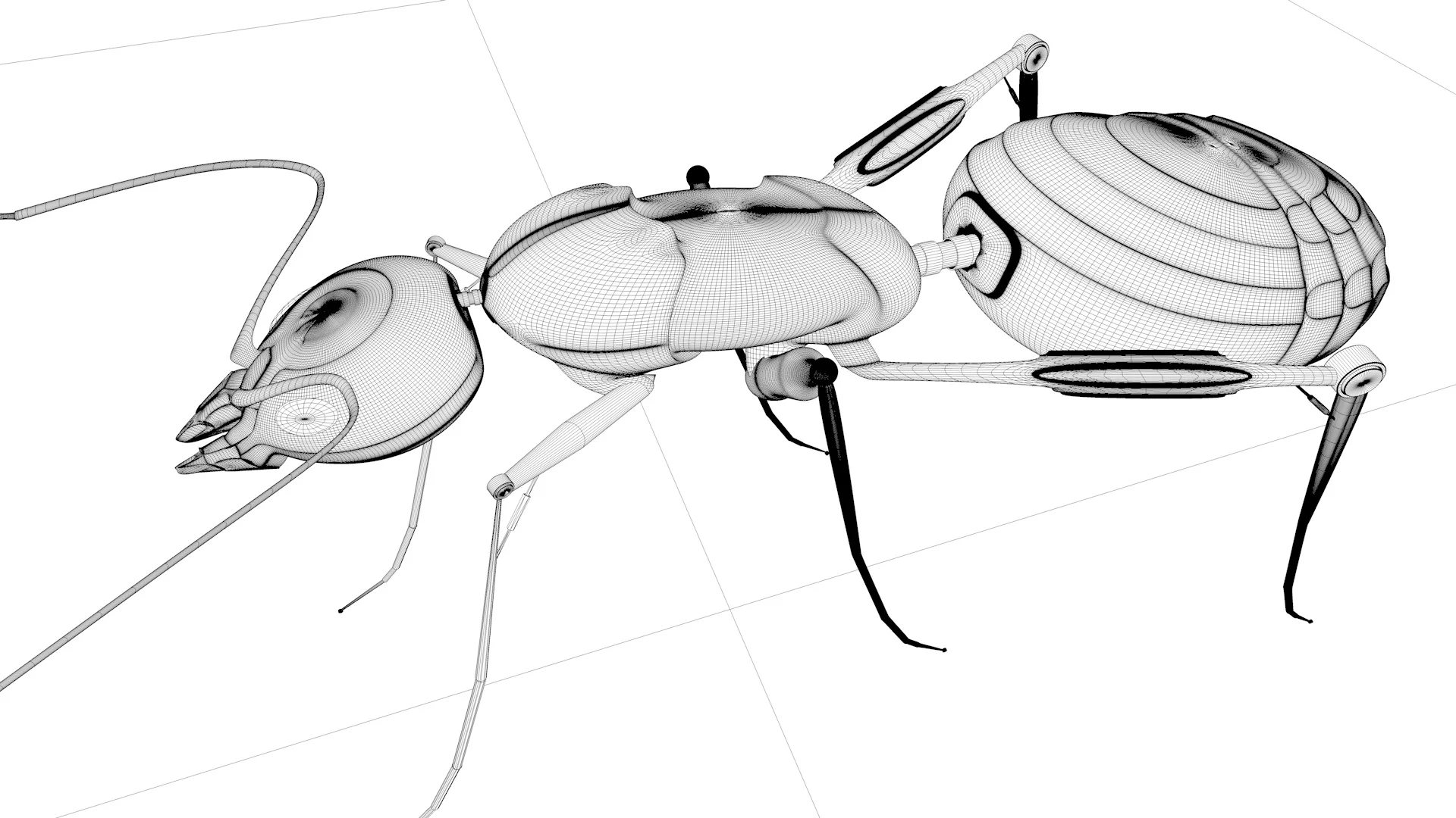 02_02_Octane_Cam02wire_v02.jpg