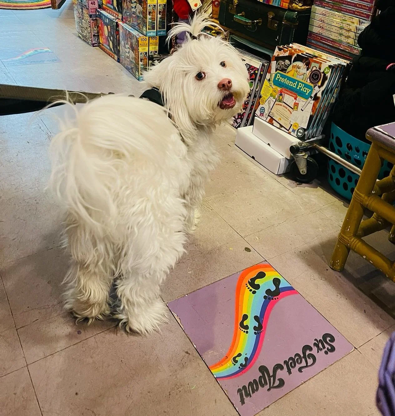 One last look at the Bliss-full weekend 
Thanks to all who Blissed out and to ever magical Gertie for this perfectly expressive glance 💜

#moreweekendplease #dogsofinstagram #sunnysideny #doglovers