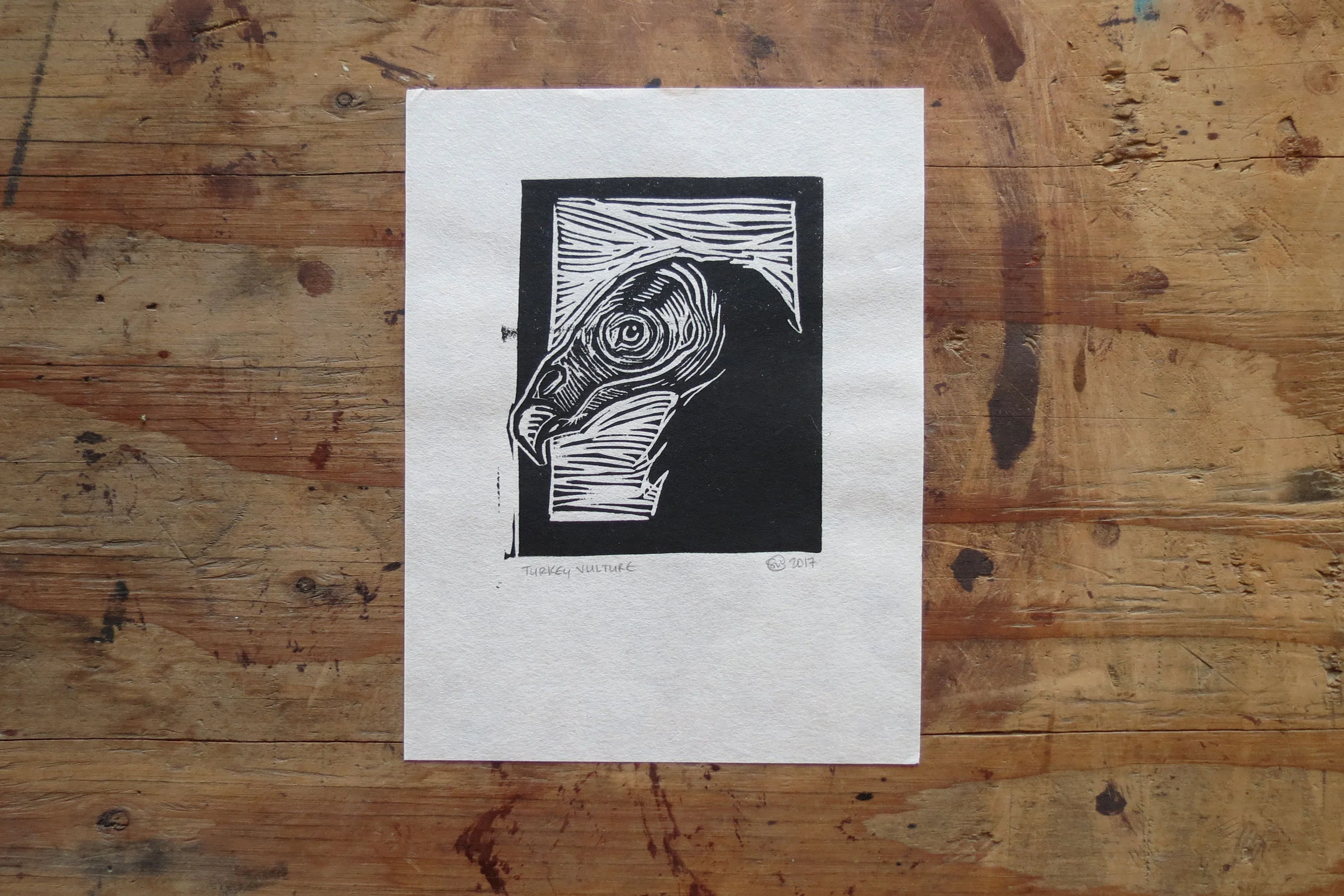 turkeyvulture-print-flaton.jpg