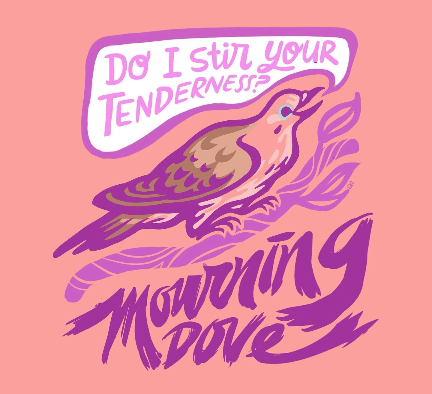 Backyard Birds /// 3

Mourning Doves are curious to me. Obviously their song is deeply soothing/melancholic but on the other hand they&rsquo;re kind of an adoringly sloppy bunch. 

#illustrationdaily #mourningdove #birdlovers #handlettering