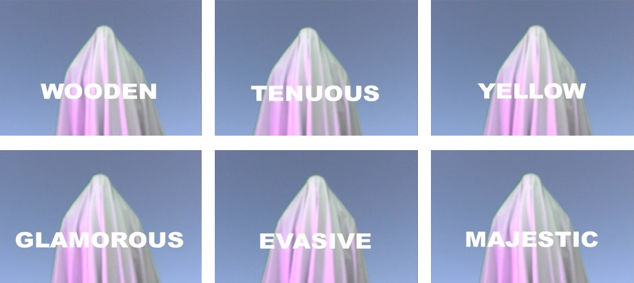     Simultaneous Repellents (Repressed Sentient, Oppressed Séance)  , 2008 Detail of Video Stills  