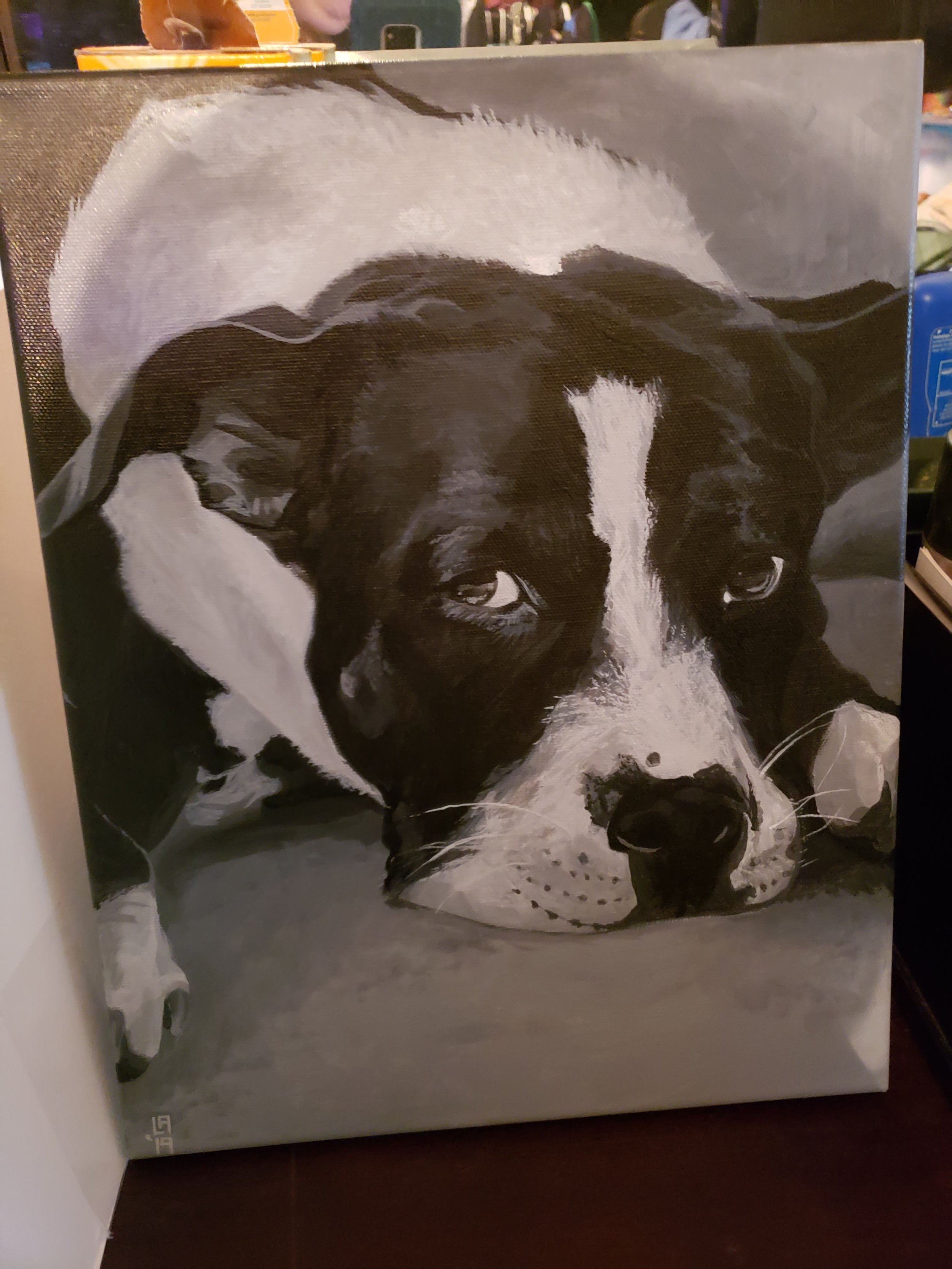 from pittie with love