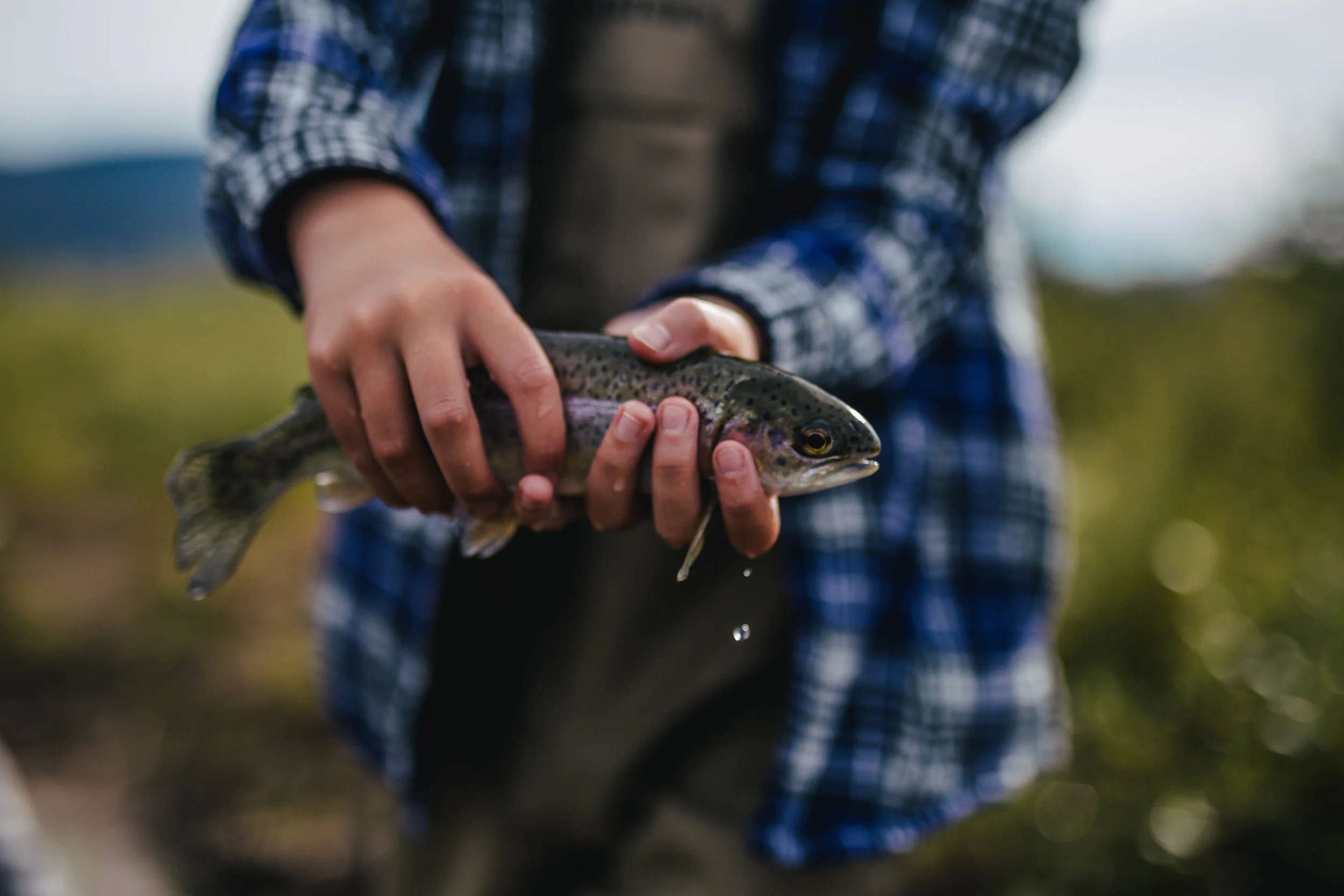This 🐟 was 🎣 with @maddiebrenneman and @martinpazdan on the Colorado River | Photo by The Curated Feast
