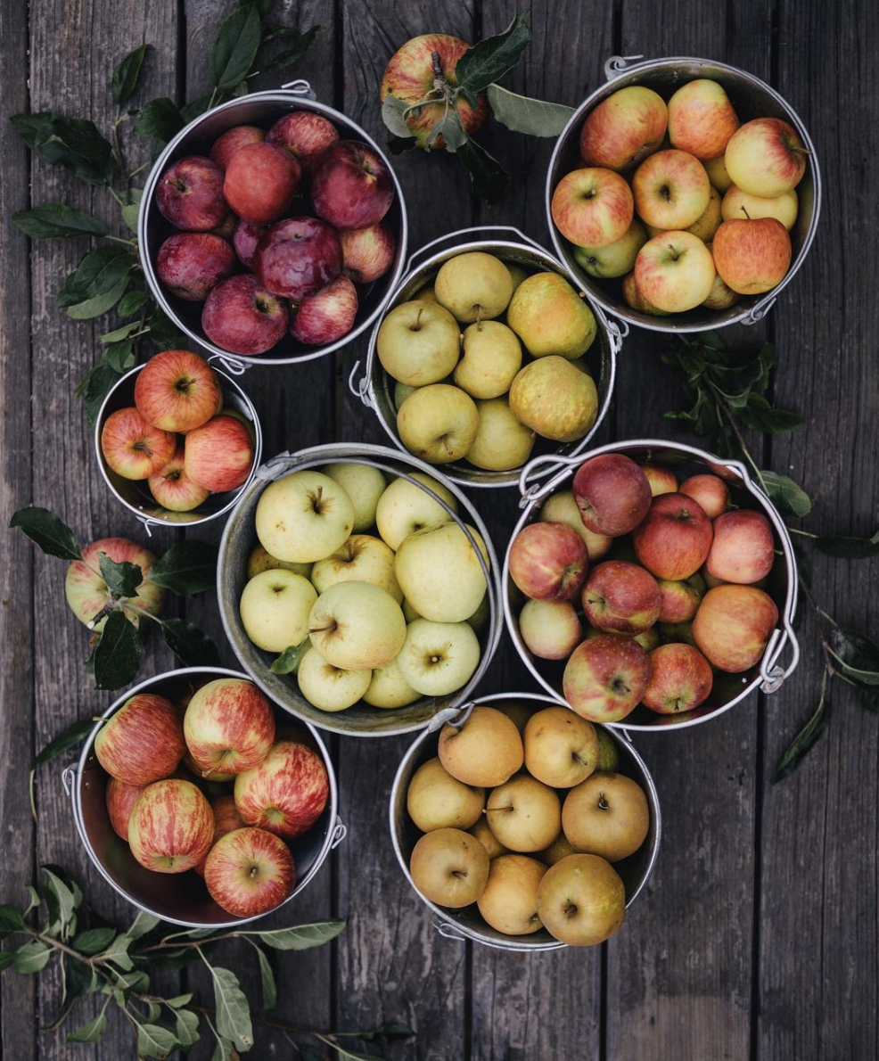 Photo by The Curated Feast