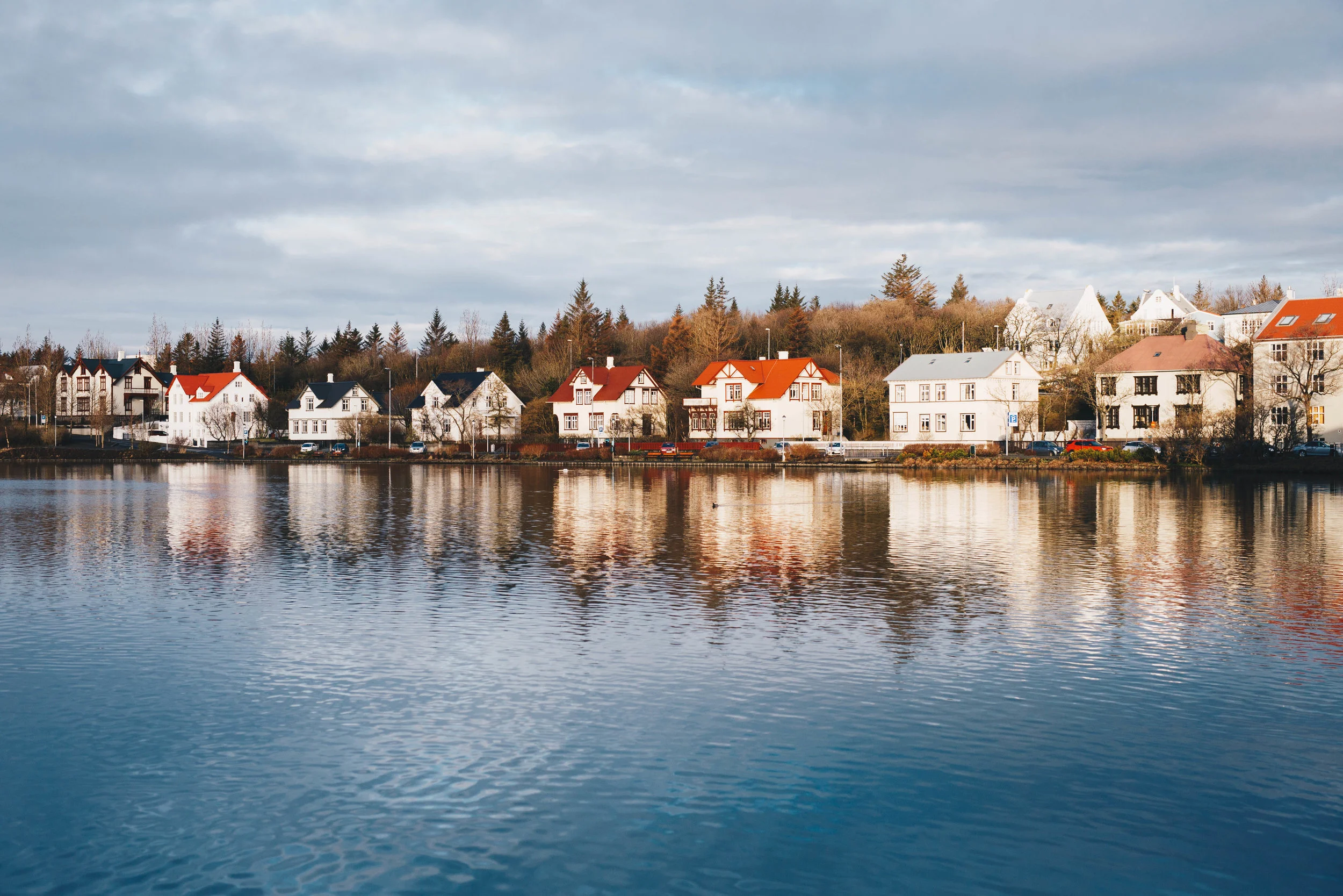 Photo by The Curated Feast at Tjörnin, a small lake in Reykjavik 