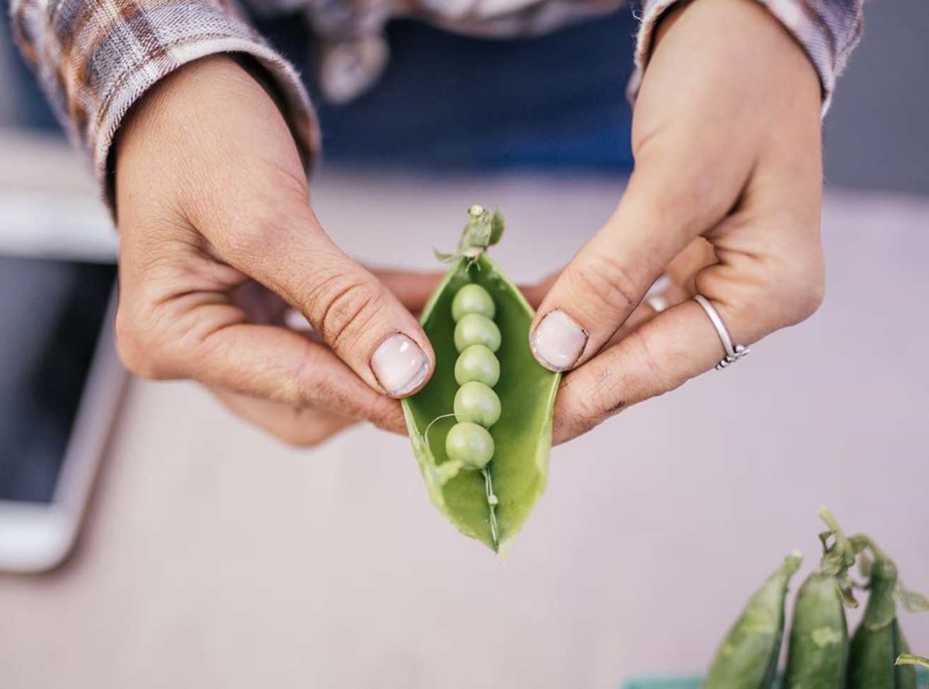 Photo by The Curated Feast for Santa Cruz Community Farmers Markets