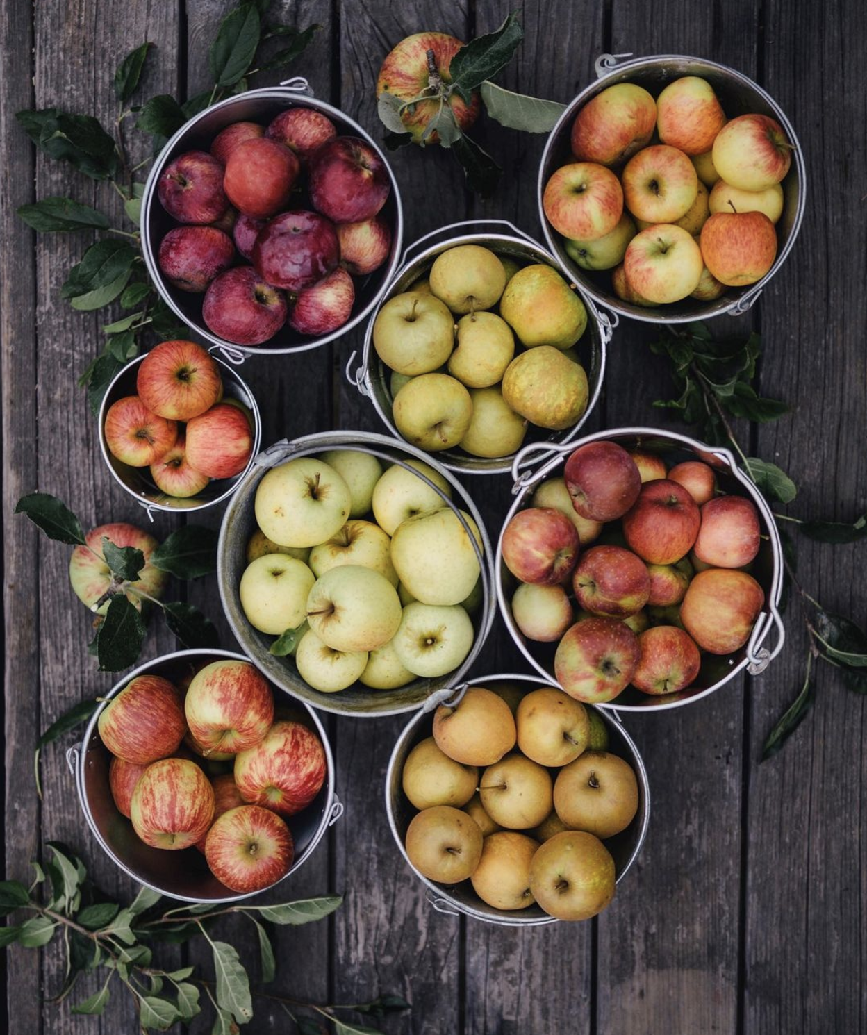 Apple Pie and the Universe